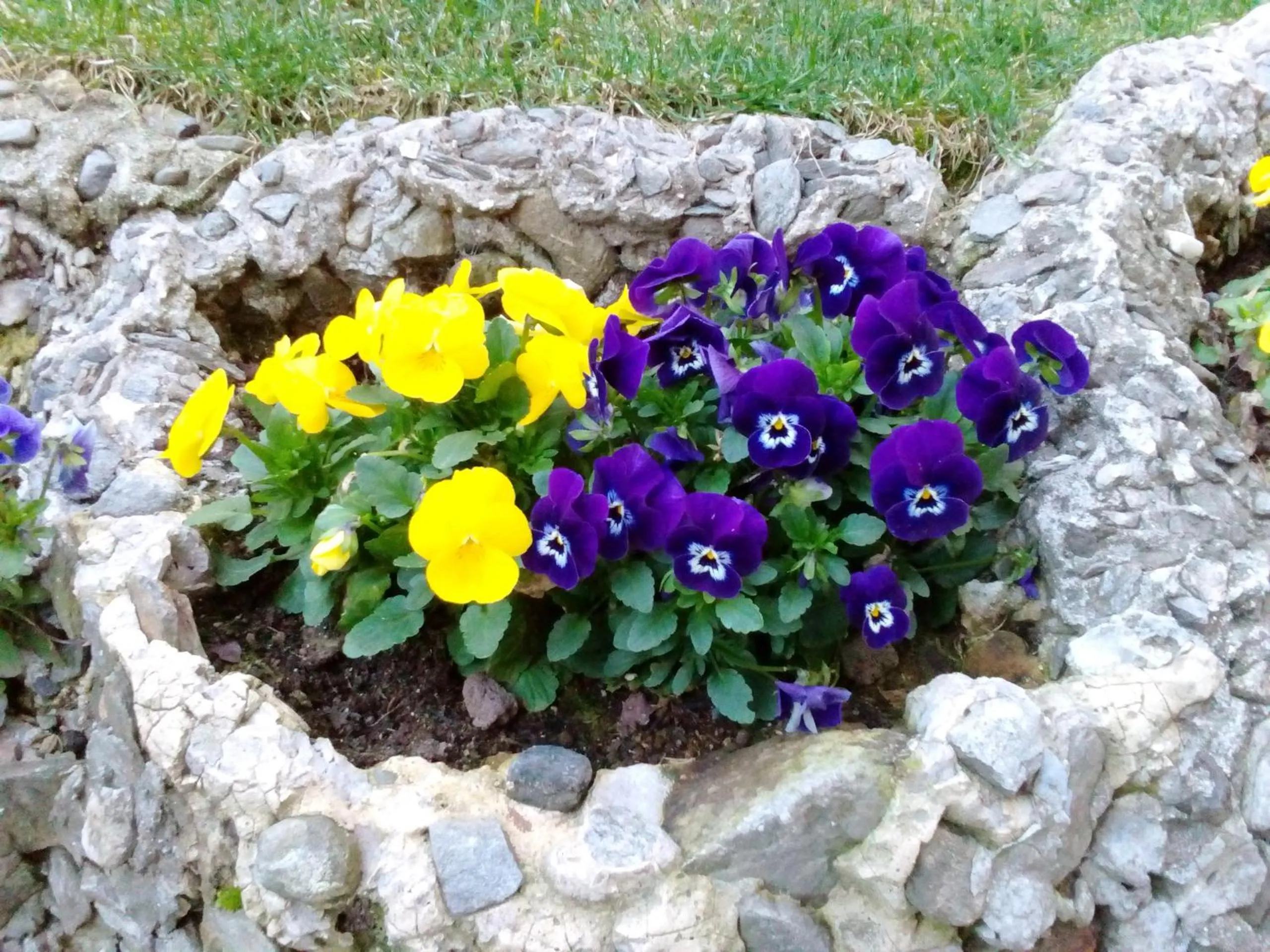 Property building in Casa Lari Stresa