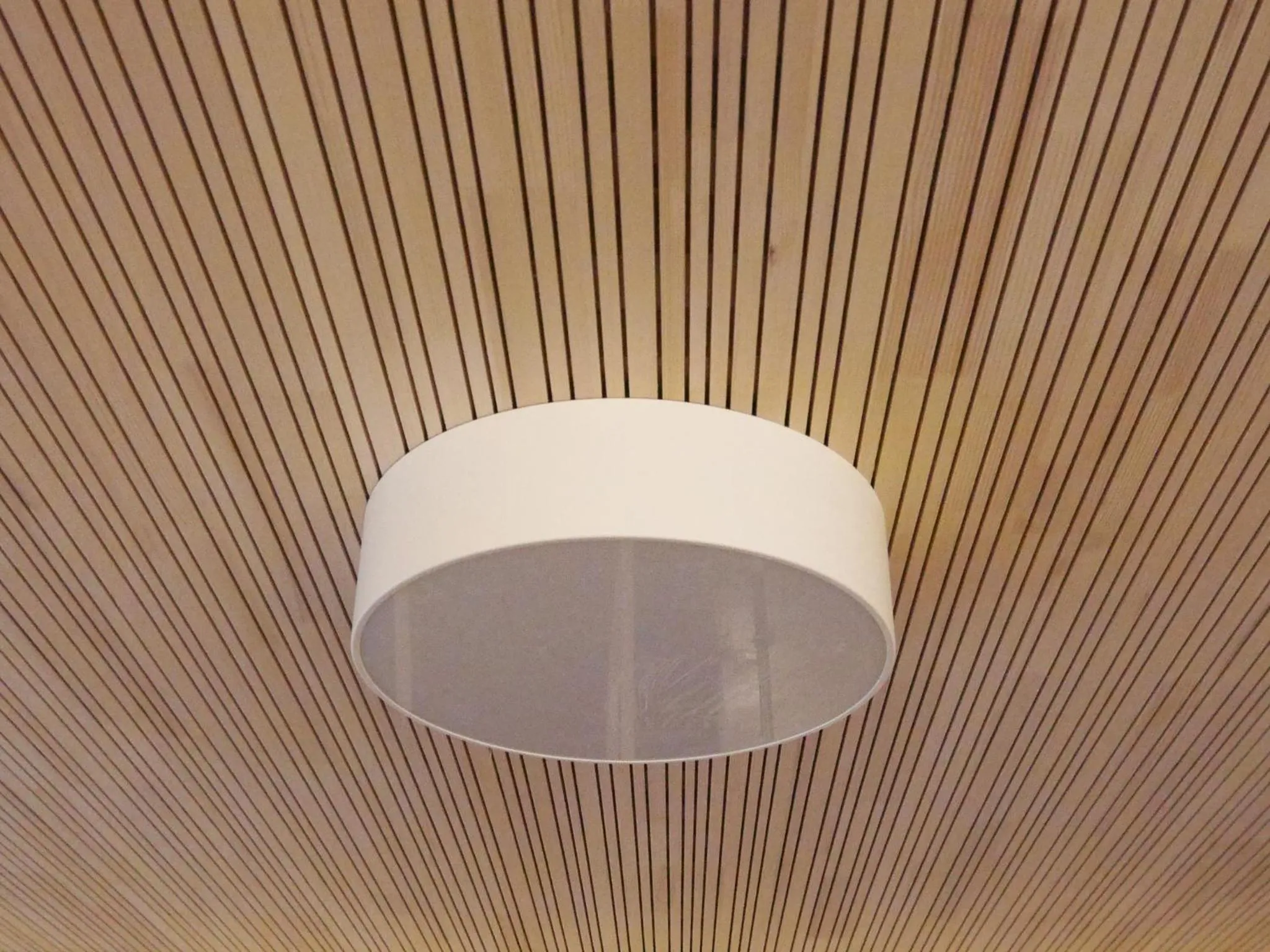 Decorative detail in Zum Hirschen - hotel & gasthaus beim stöckeler