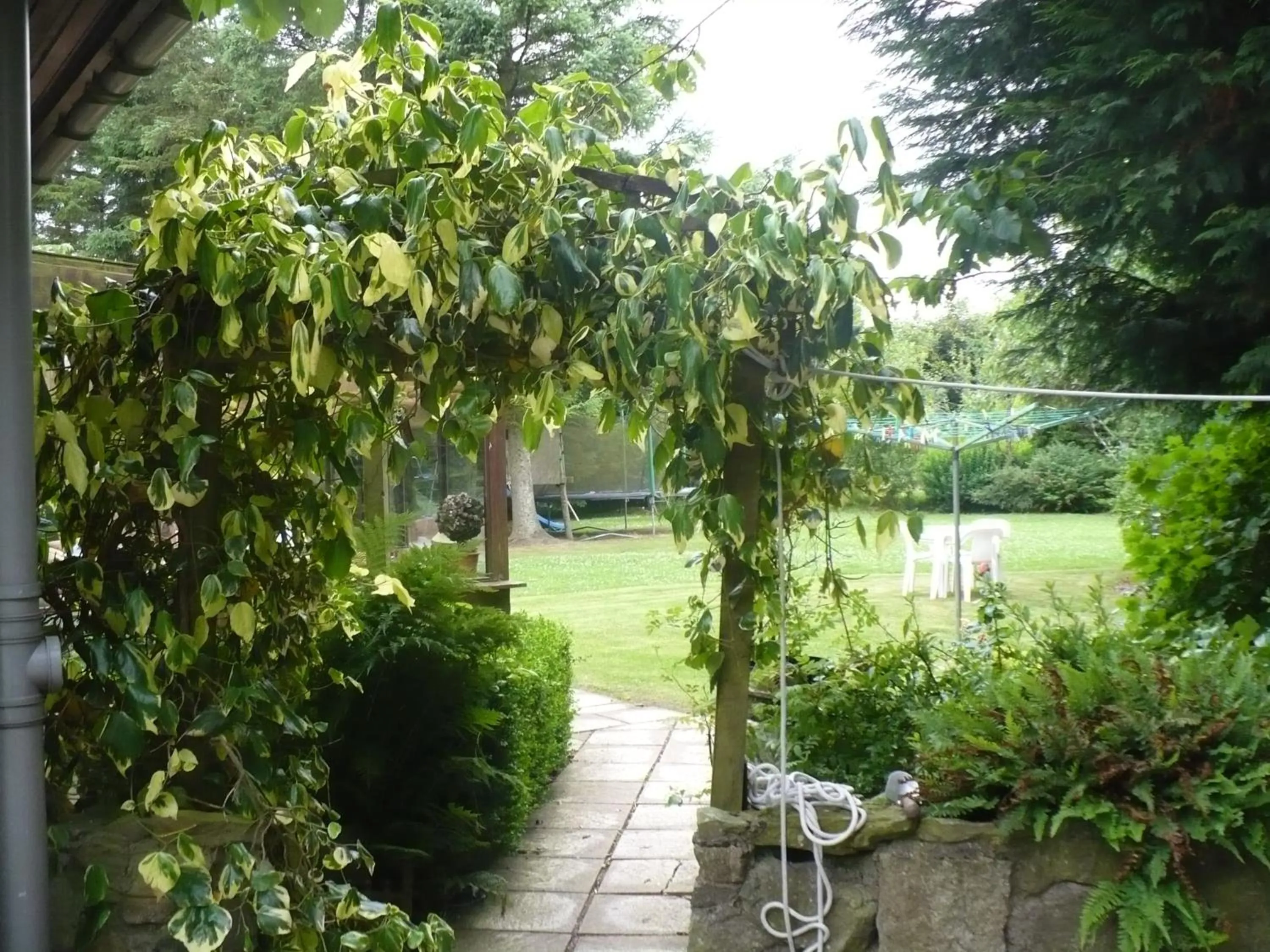 Garden in Hosefield Bed and Breakfast