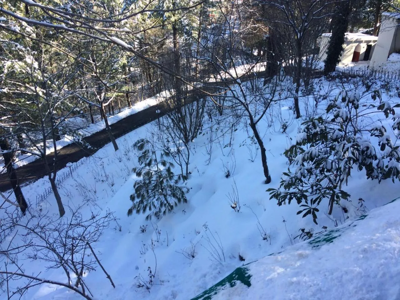 Shangrila Hotels and Resort