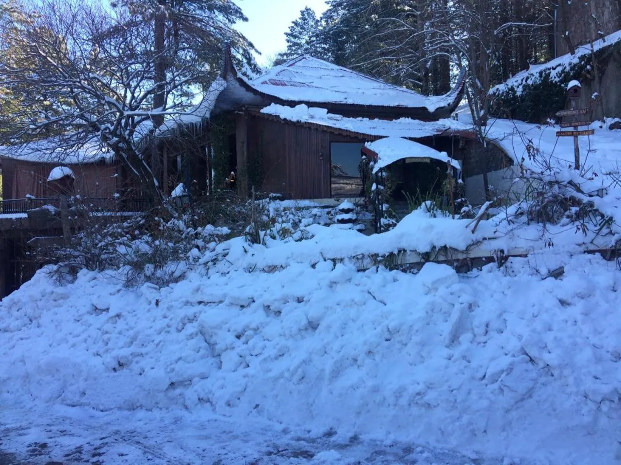 Shangrila Hotels and Resort