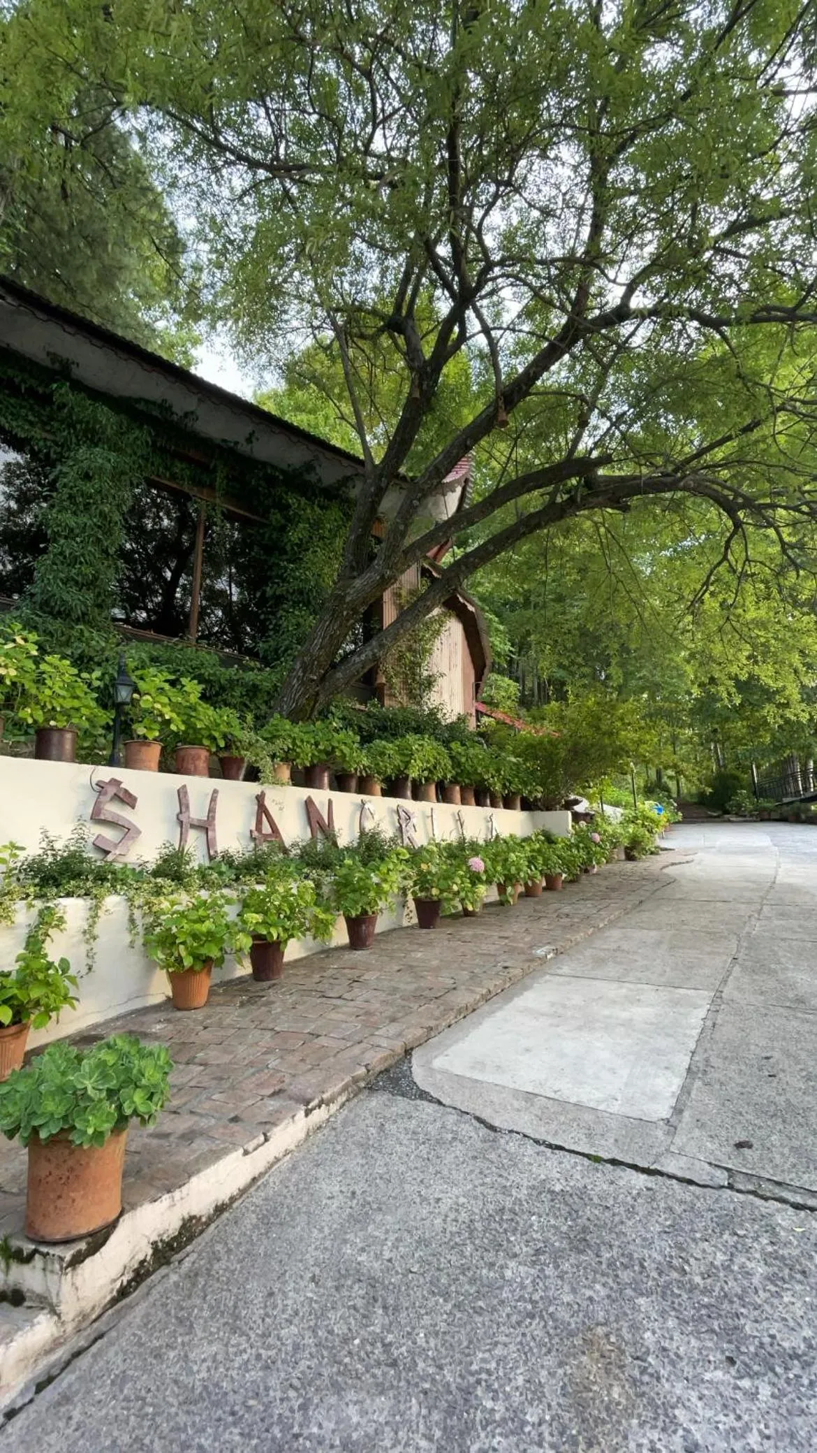 Shangrila Hotels and Resort