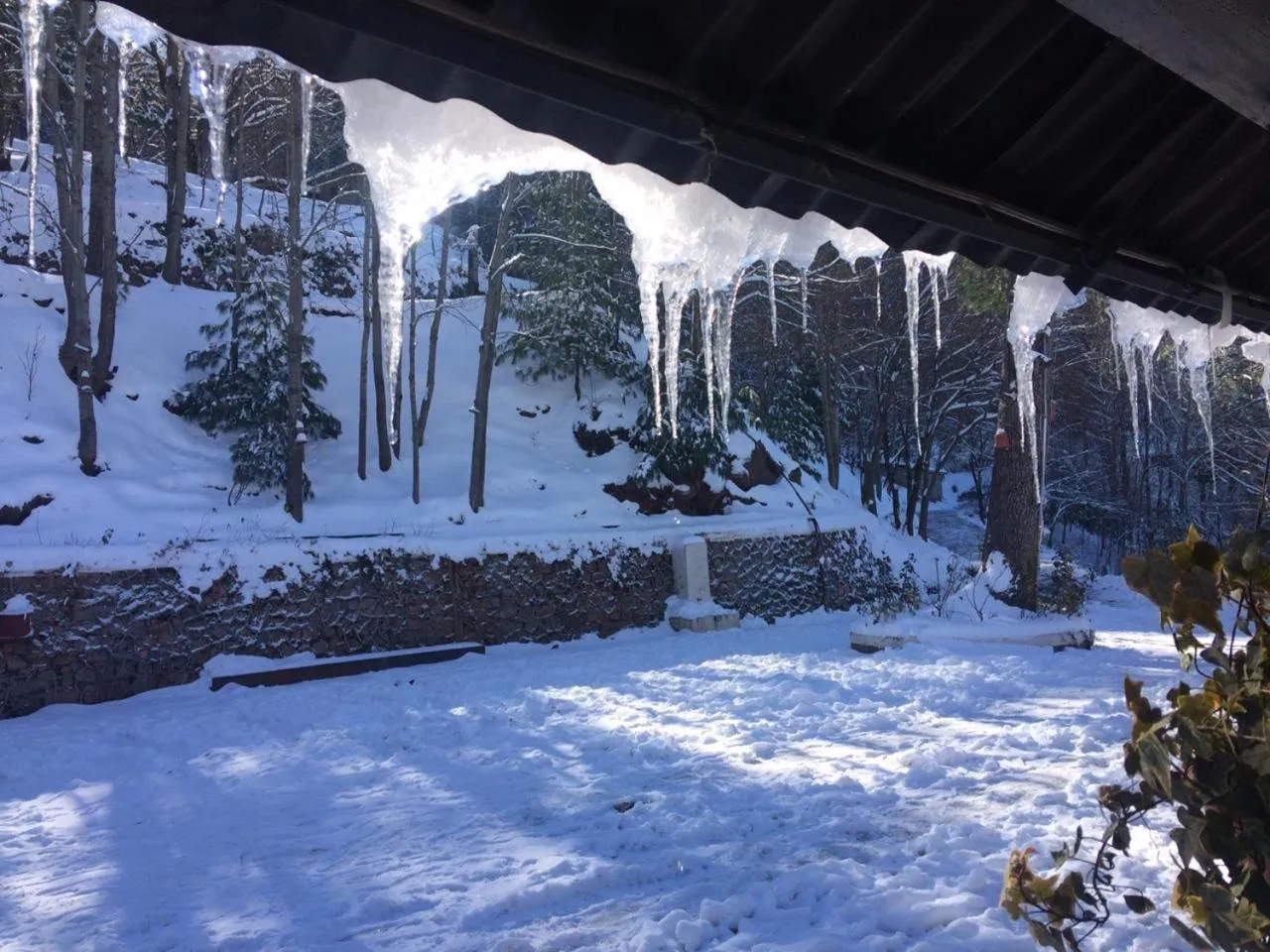 Shangrila Hotels and Resort