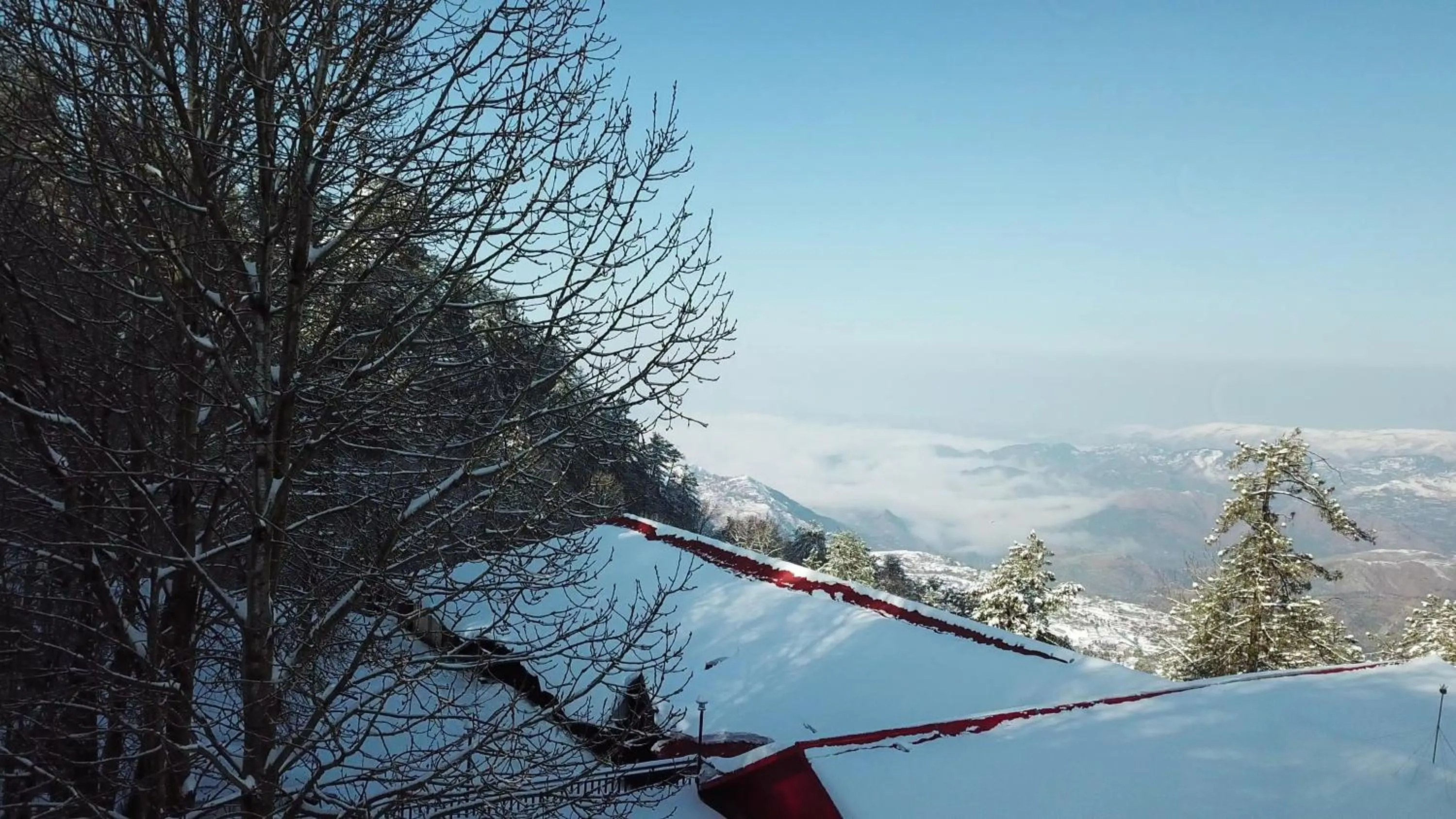 Shangrila Hotels and Resort