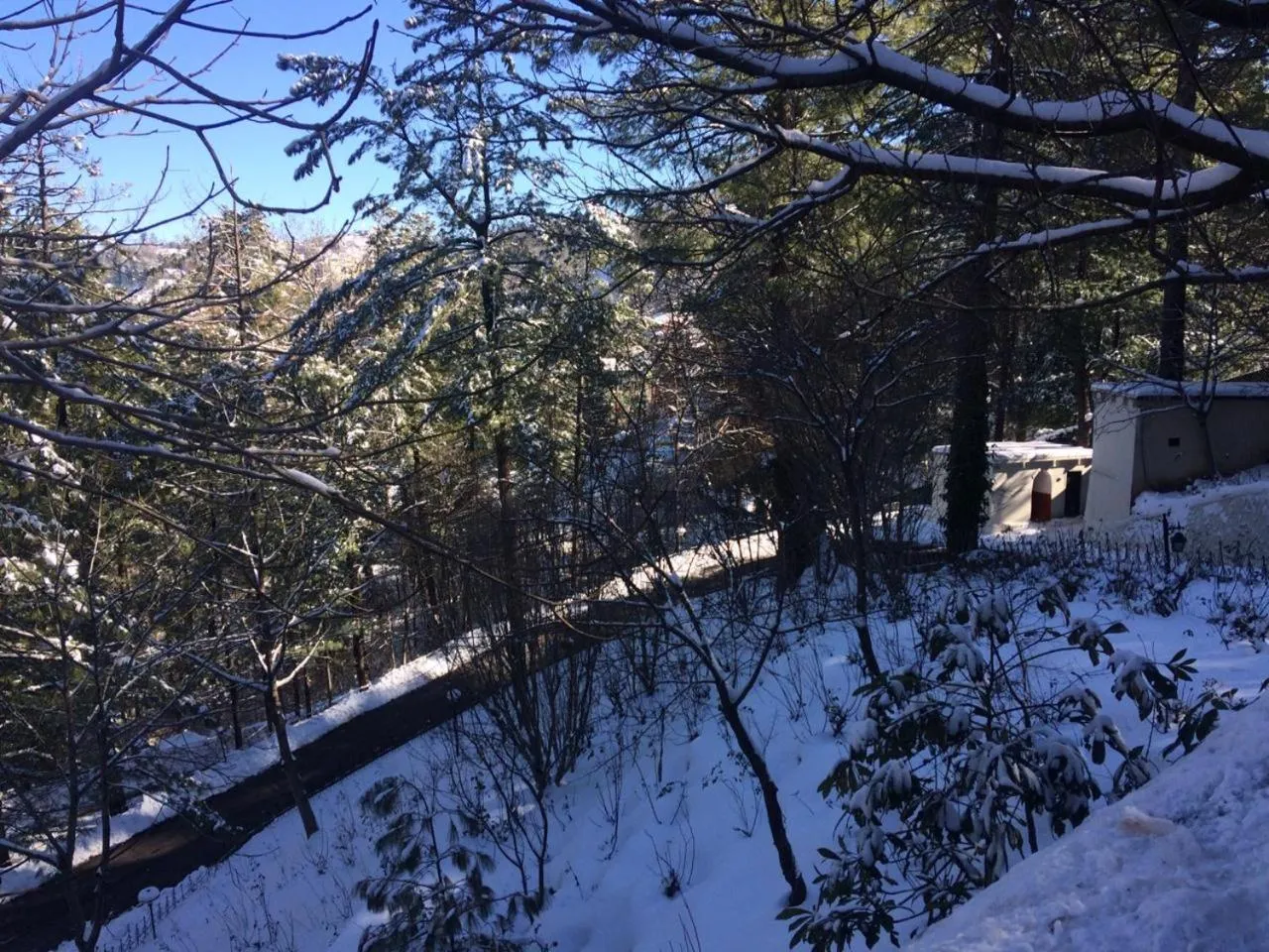 Shangrila Hotels and Resort