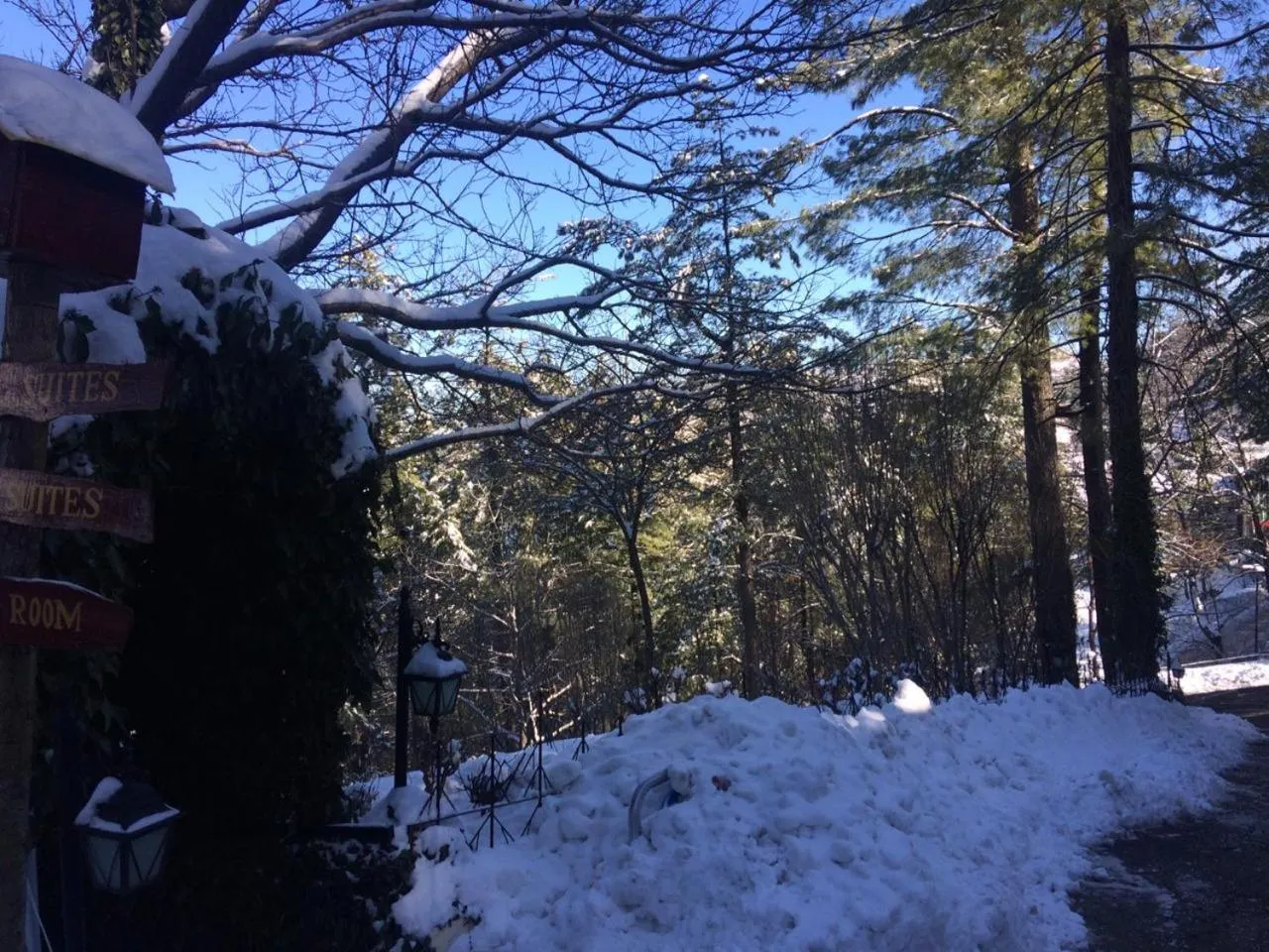 Shangrila Hotels and Resort