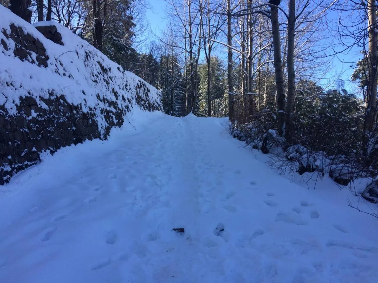 Shangrila Hotels and Resort