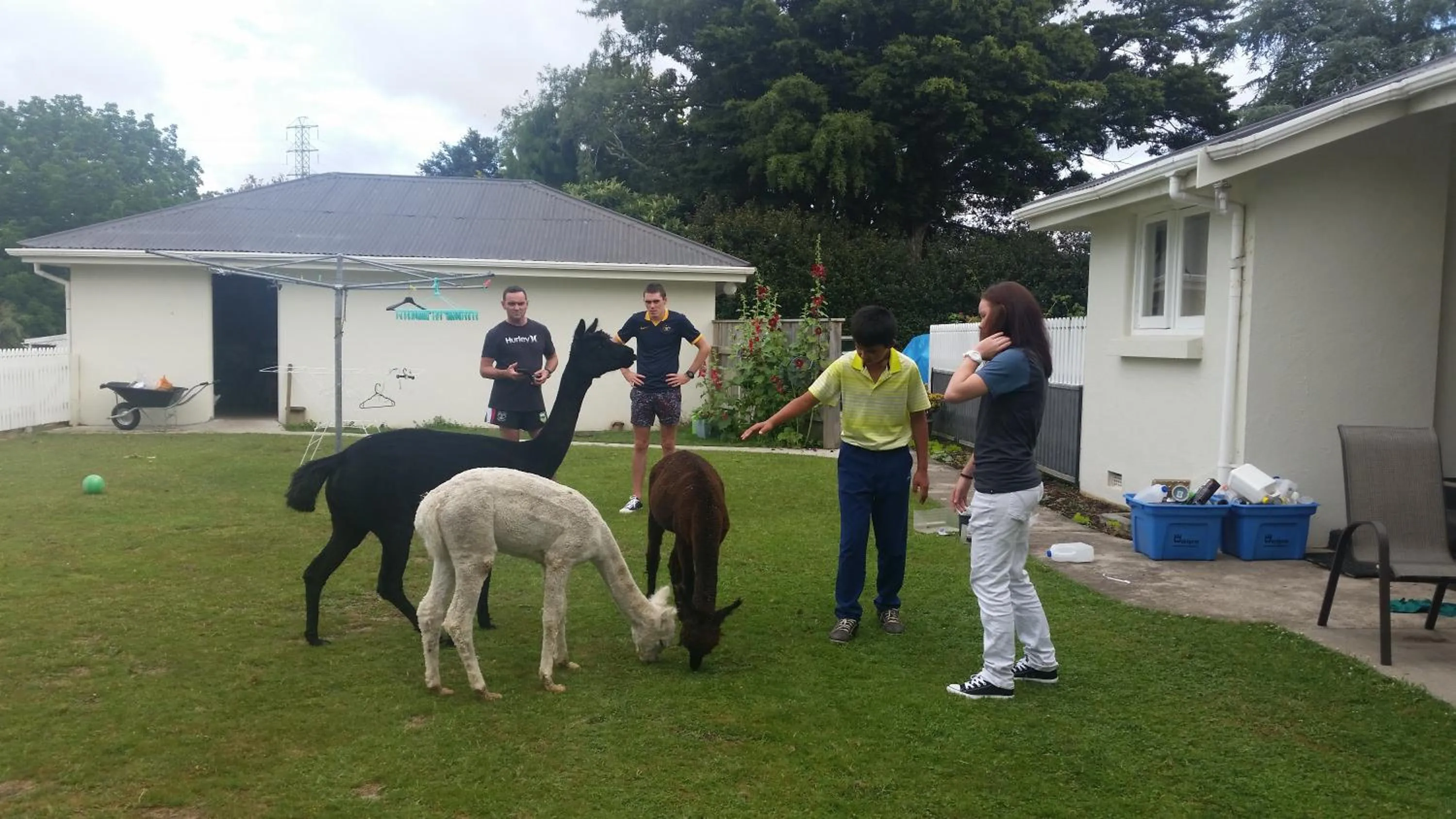 People in Homestead B&B Cambridge
