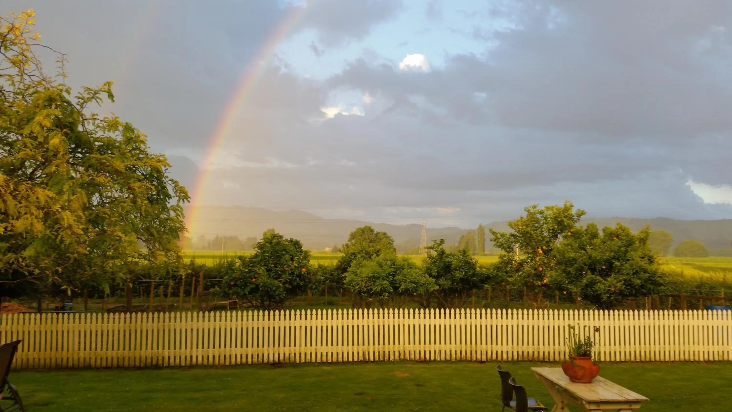 Natural landscape in Homestead B&B Cambridge