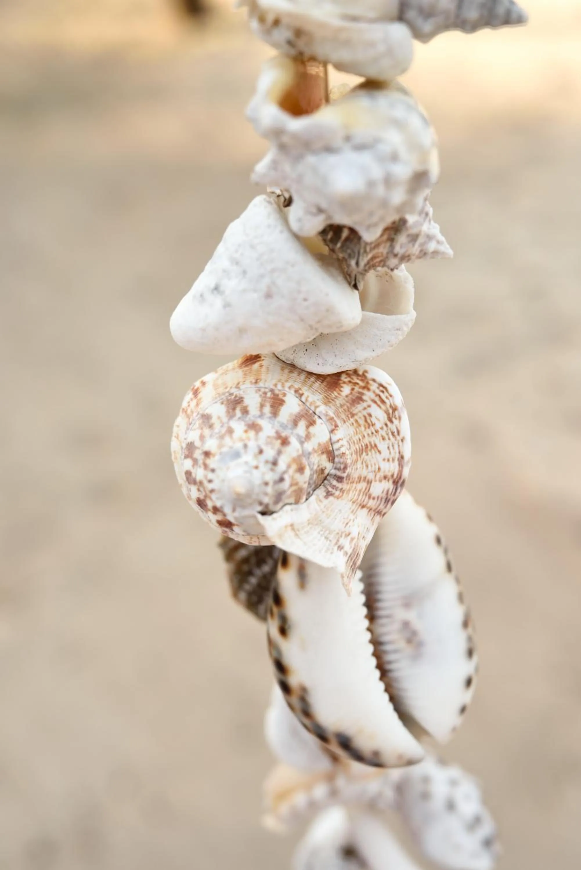 Decorative detail in Sharazad Boutique Hotel