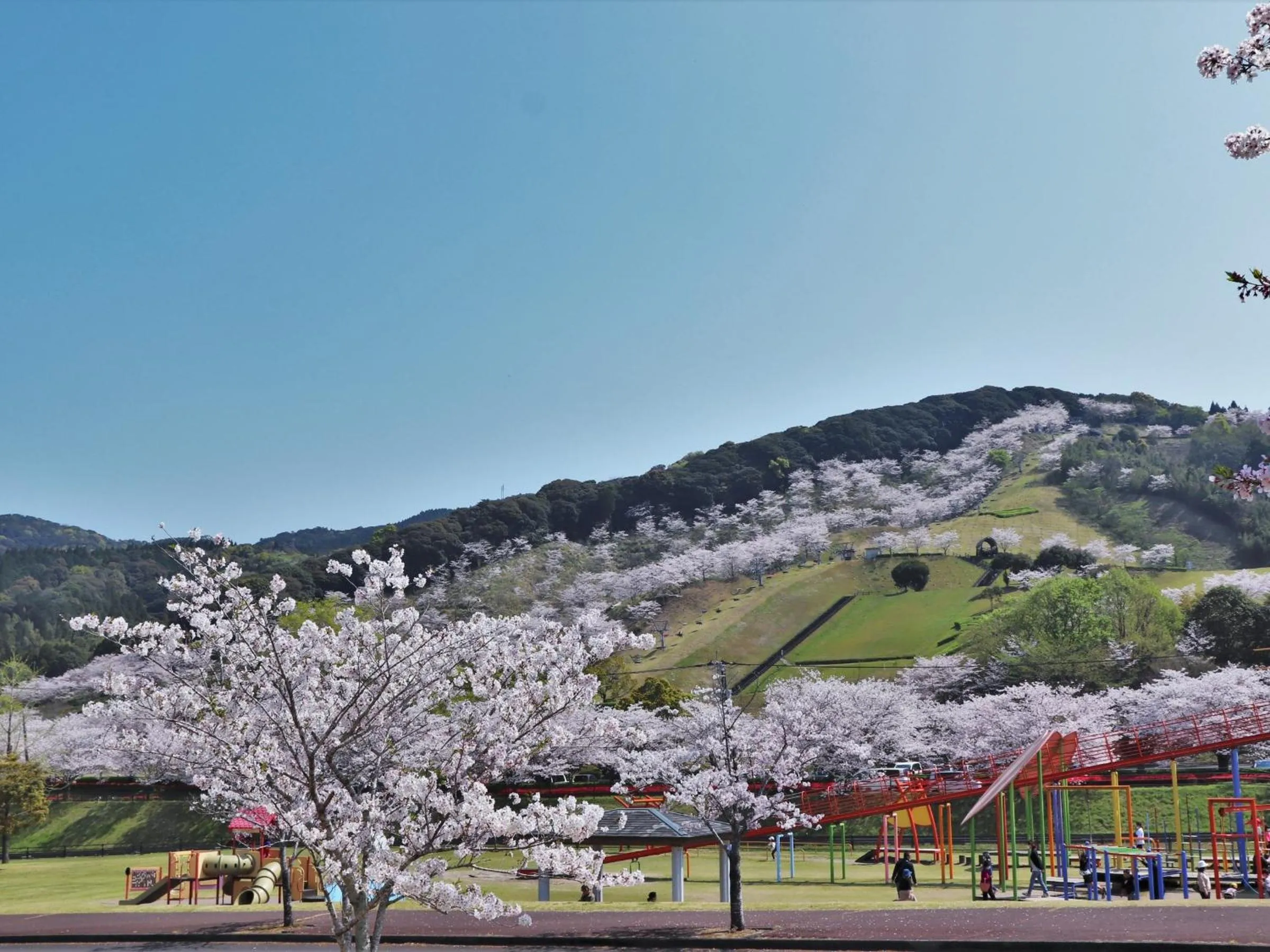 Spring in Vessel Hotel Miyakonojo