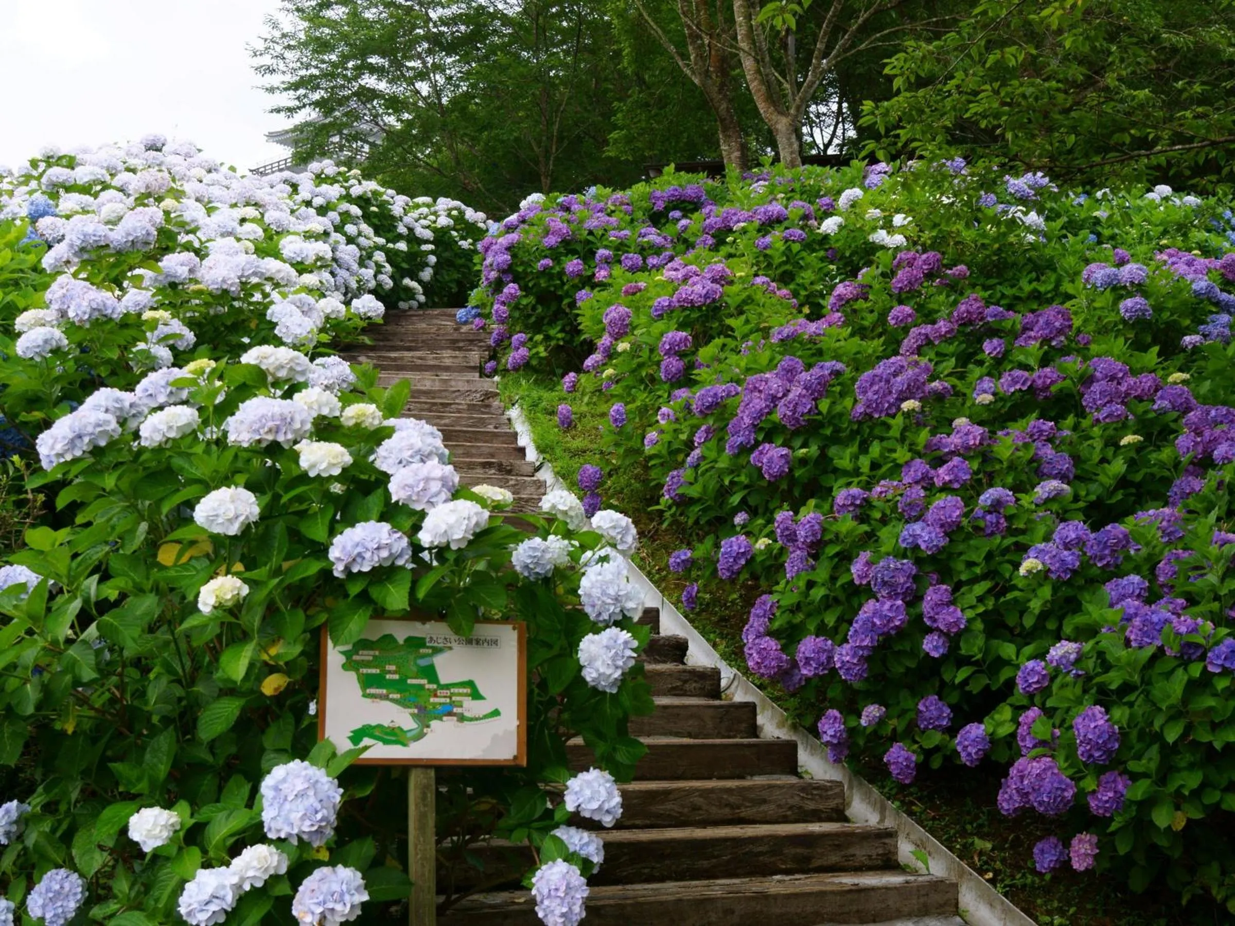 Nearby landmark in Vessel Hotel Miyakonojo