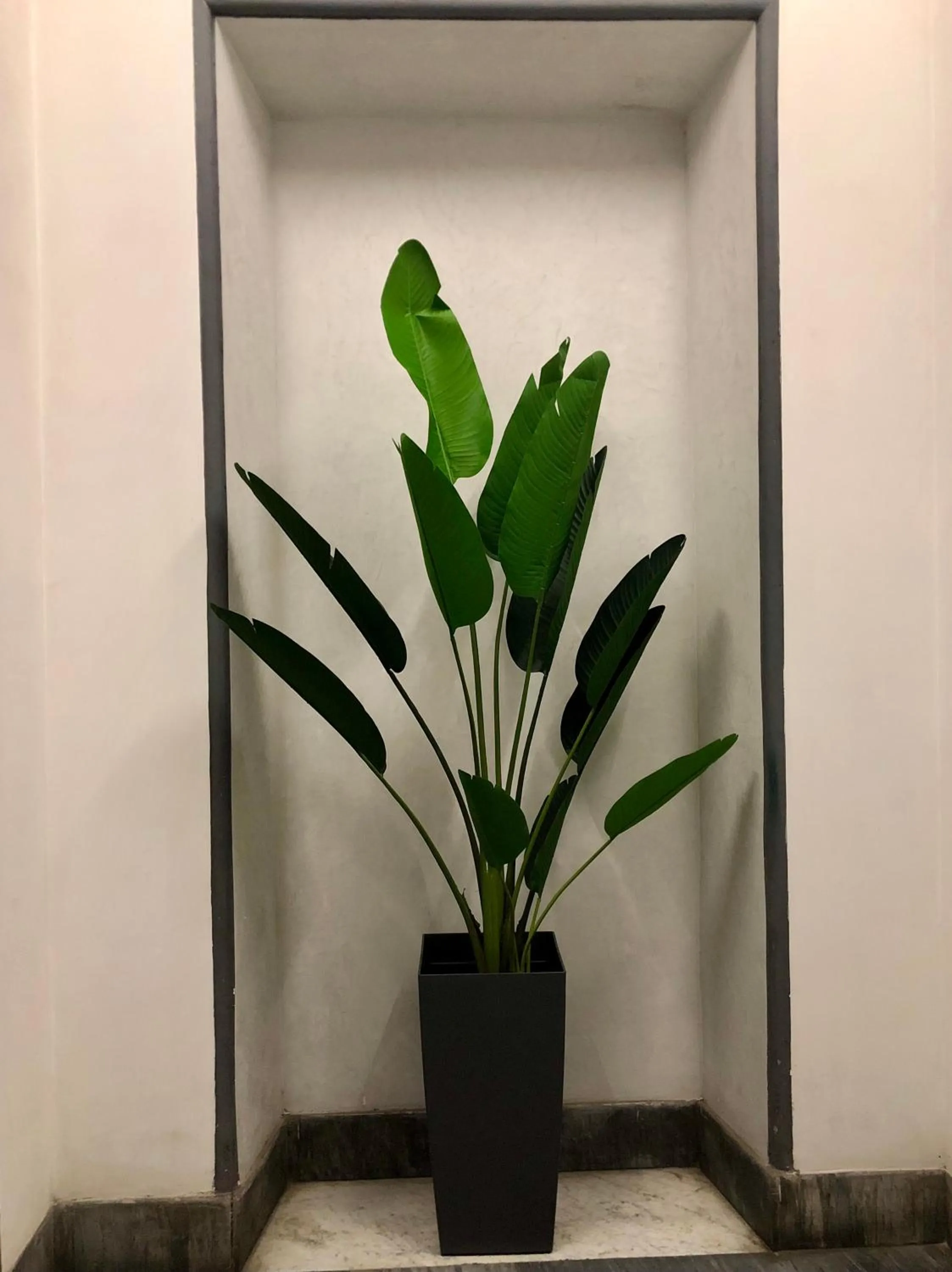 Lobby or reception in Navona Central Suites