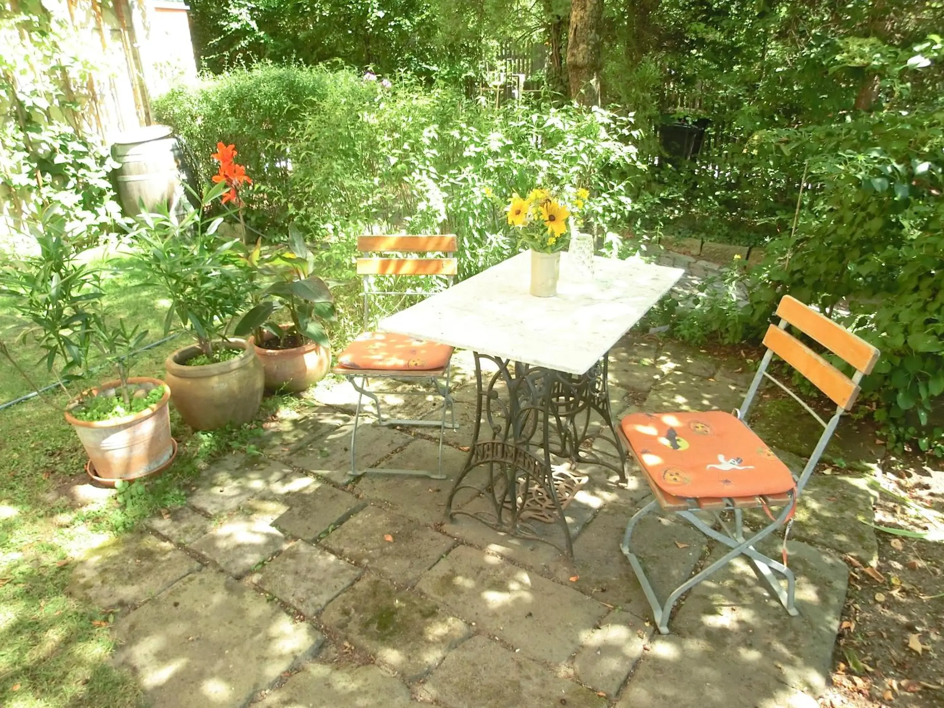 Ferienwohnung mit Charme in Dresden Pillnitz Ferienwohnung mit Charme in Dresden Pillnitz