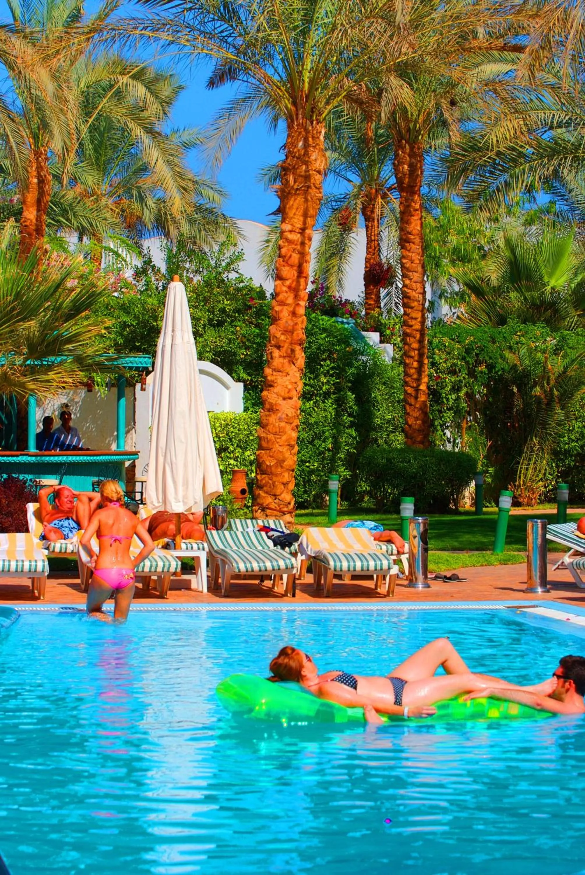 Swimming pool in Falcon Hills Hotel