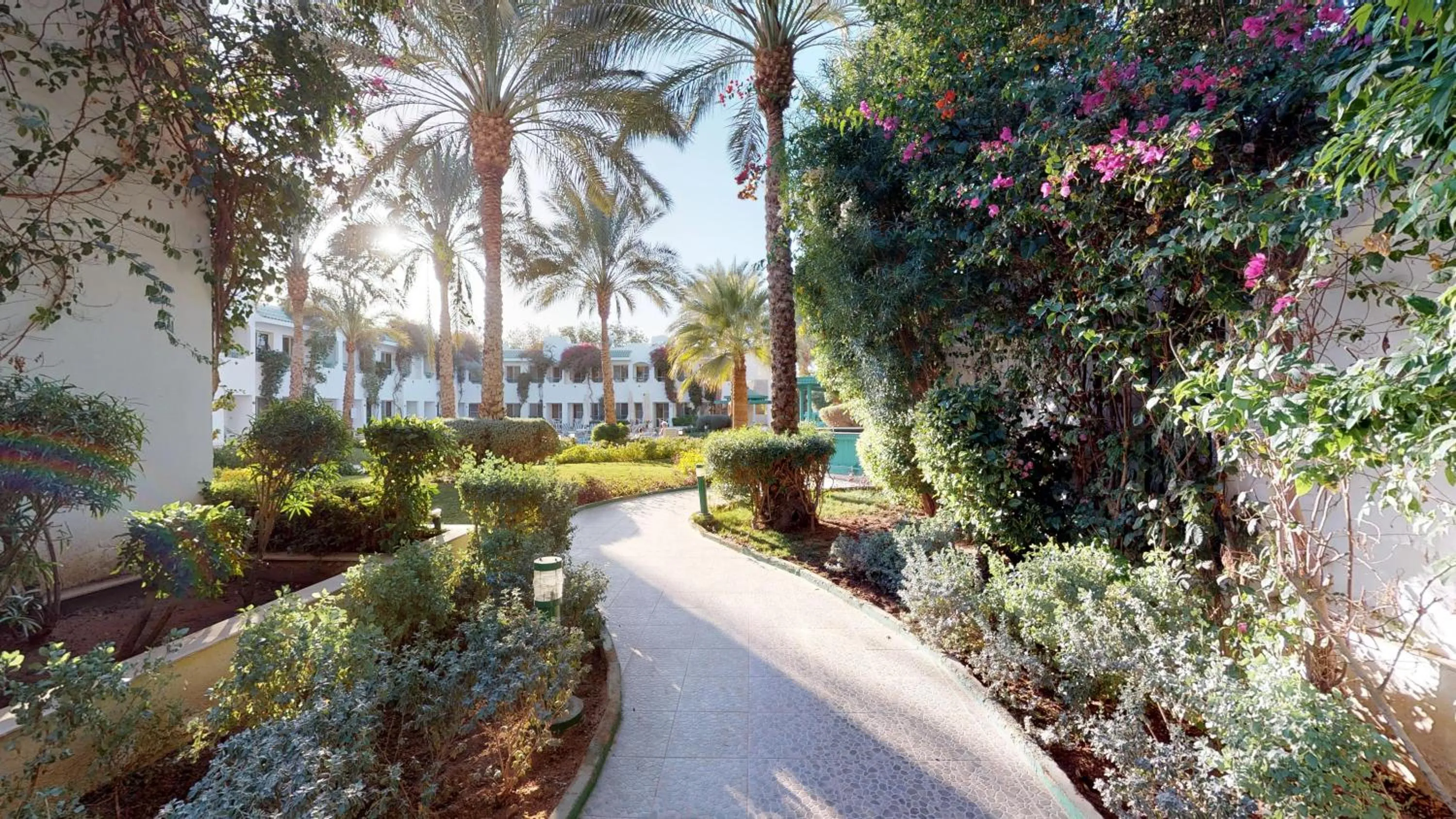 Natural landscape in Falcon Hills Hotel