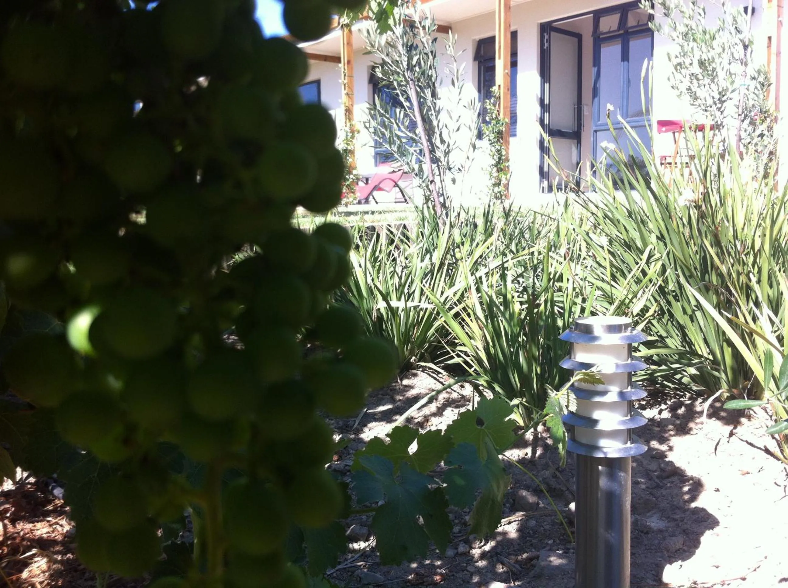 Garden in Domaine Coutelier