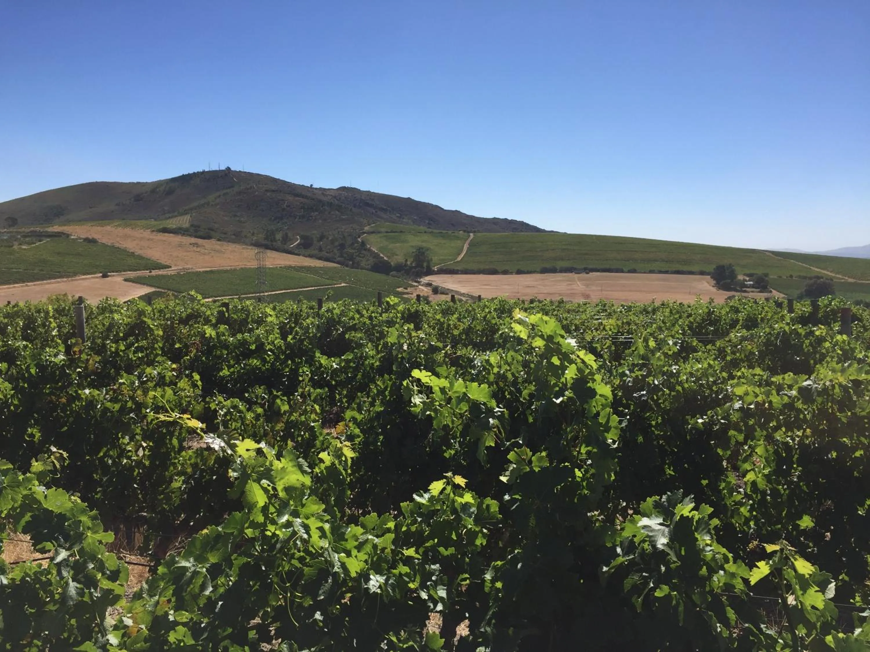 Mountain view in Domaine Coutelier