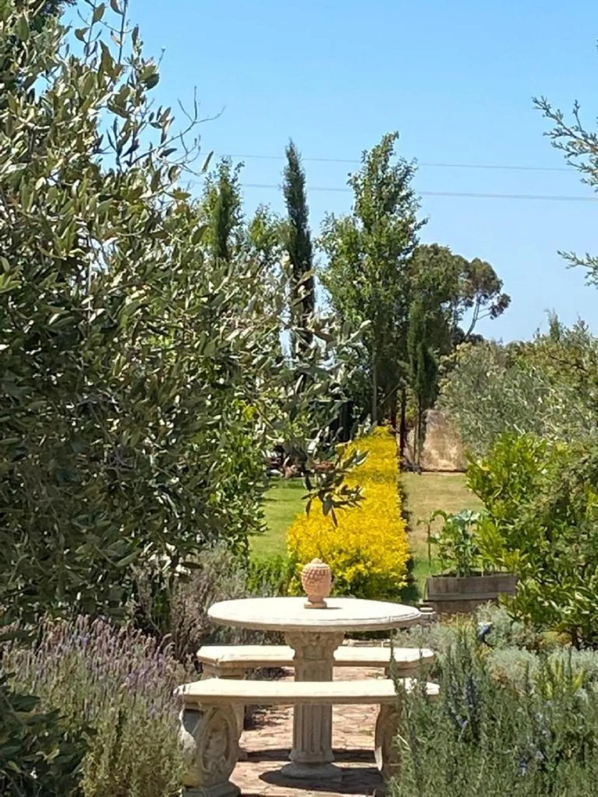 Garden view in Domaine Coutelier