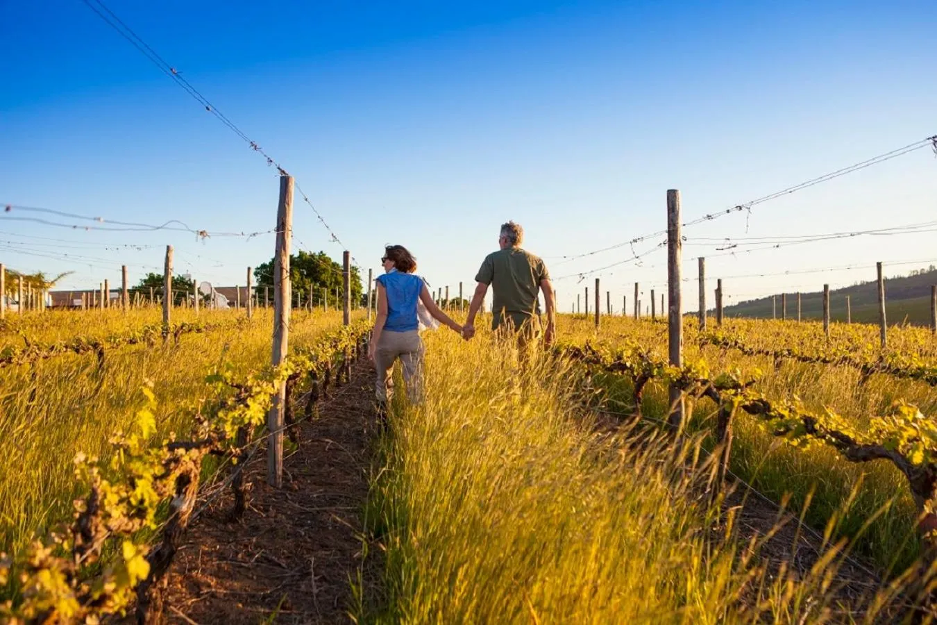 Spring in Domaine Coutelier