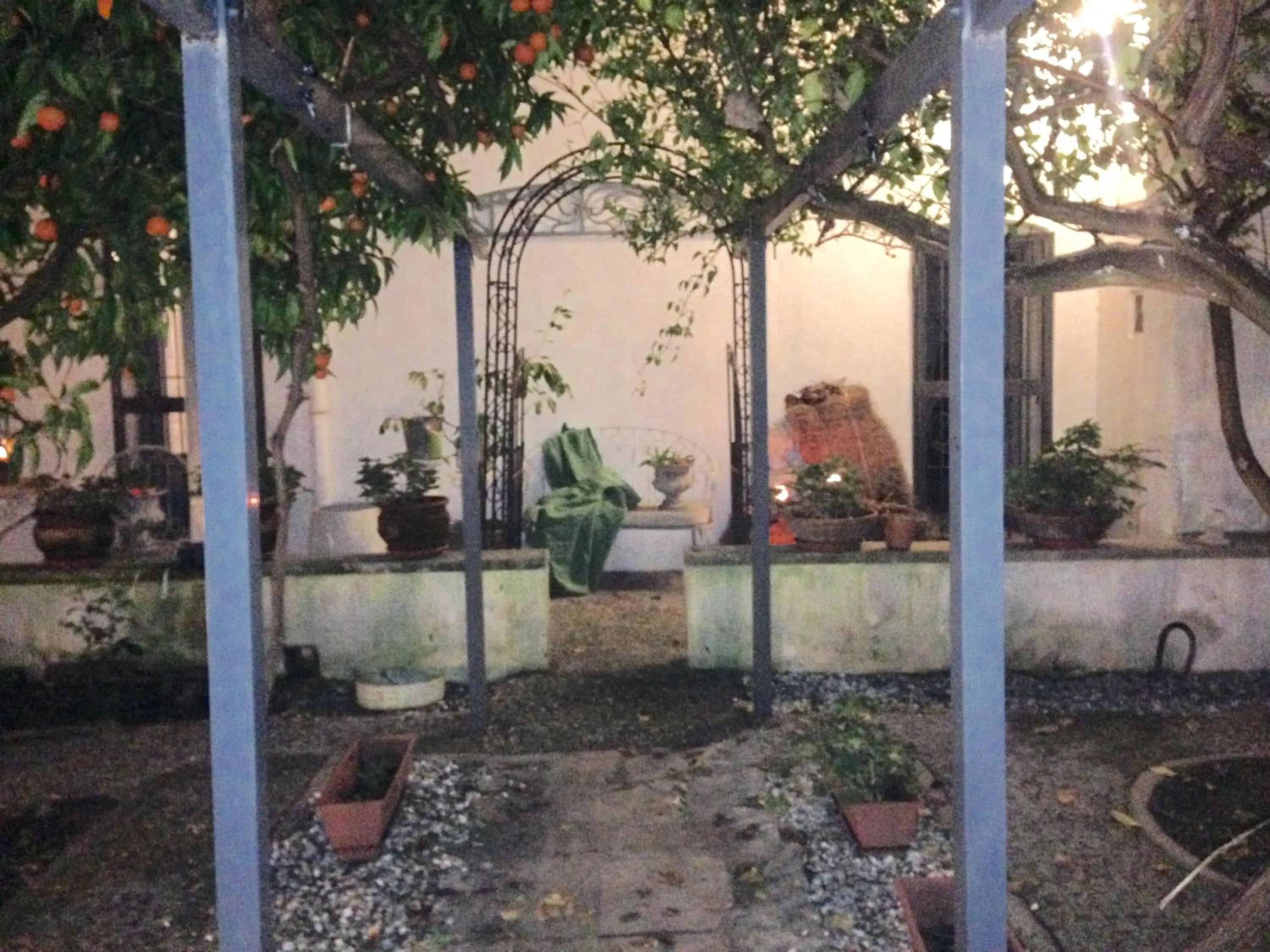 Garden in Dolce Farinella