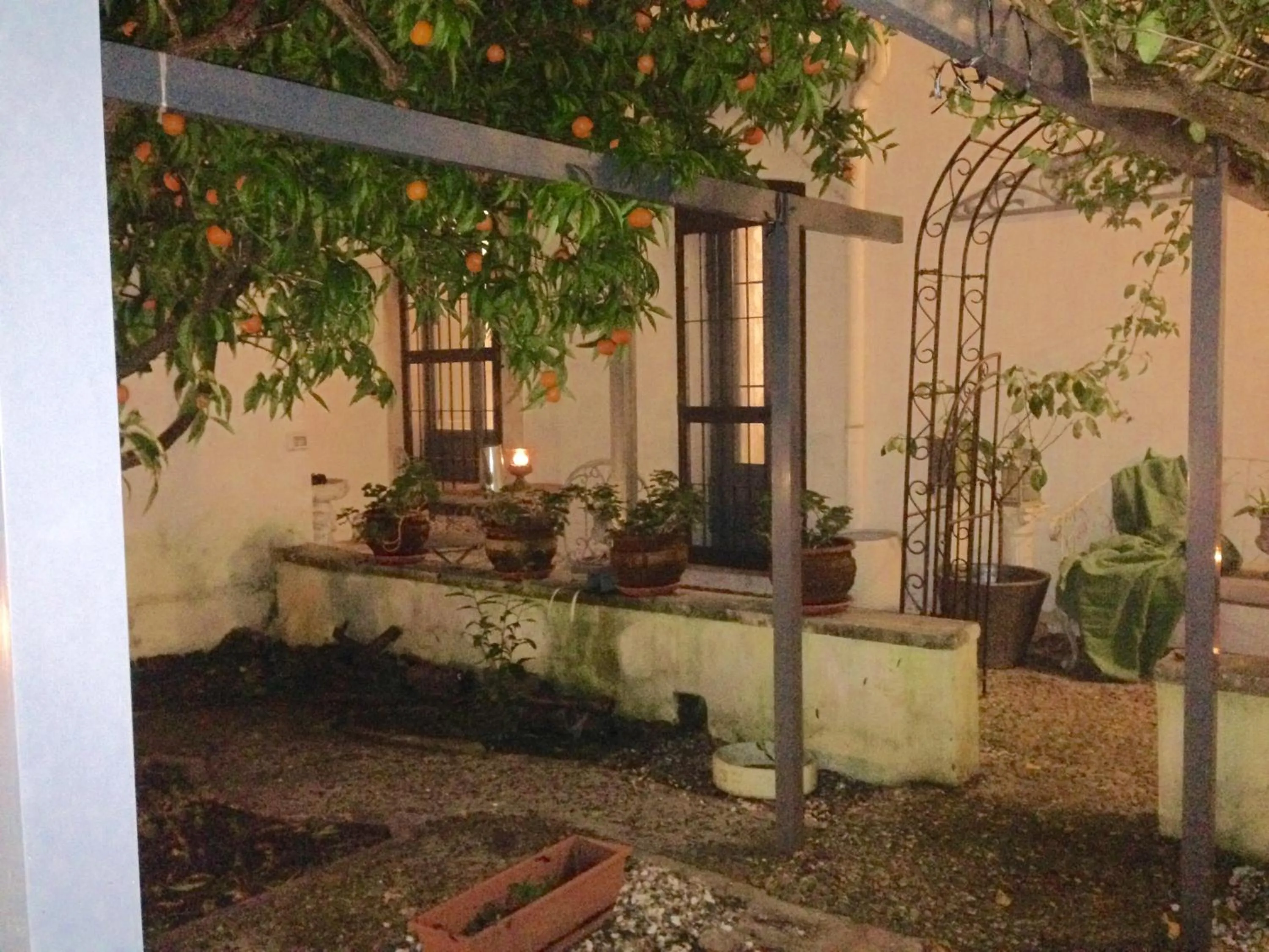 Garden in Dolce Farinella