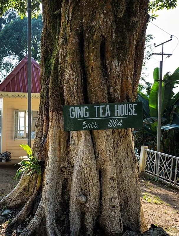 Ging Tea House