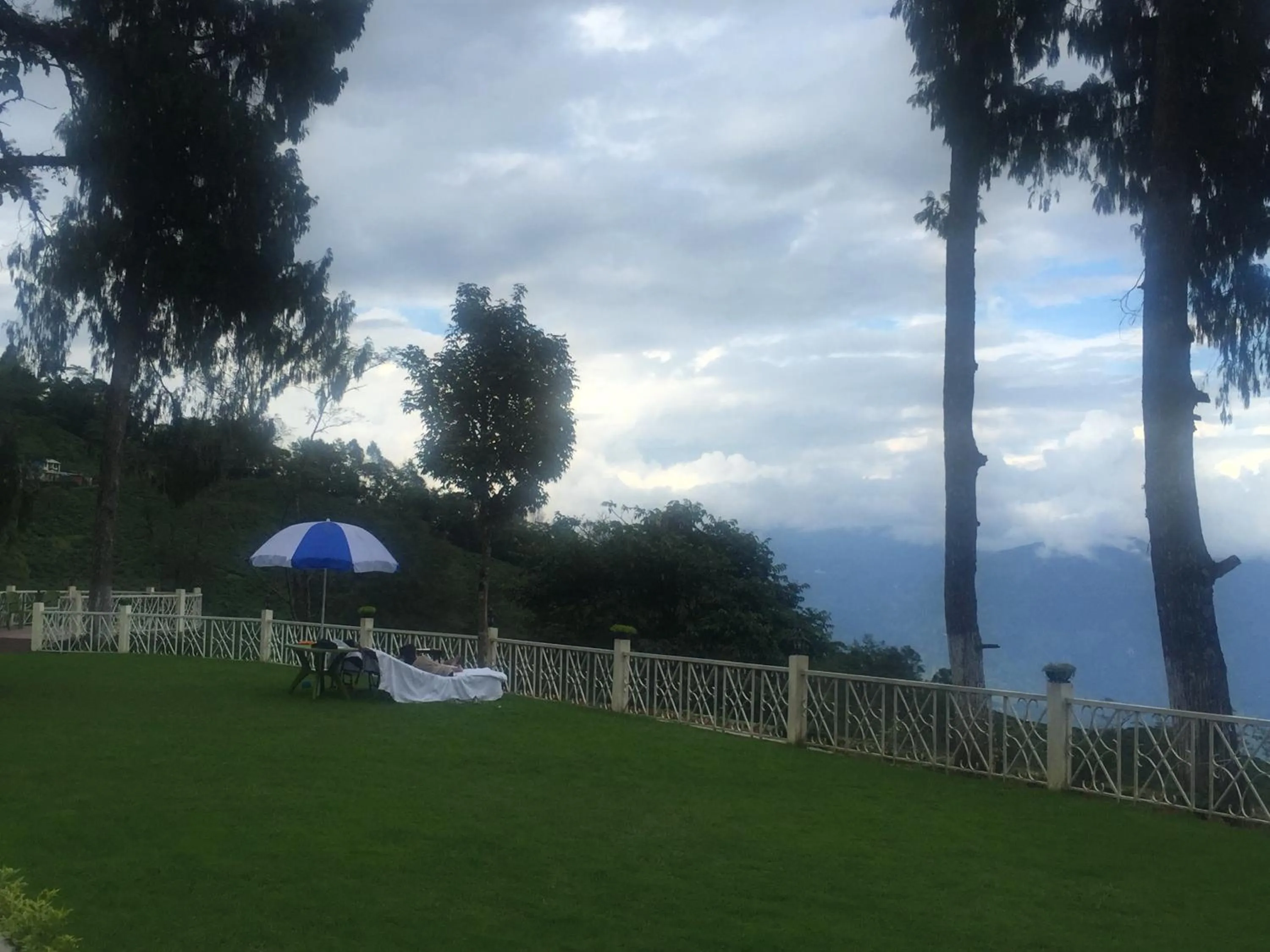 Garden view in Ging Tea House