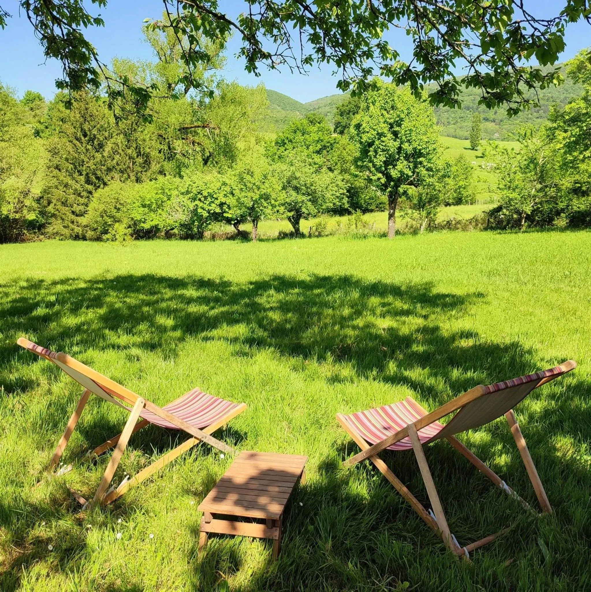 Garden in Terres de la Grange B&B