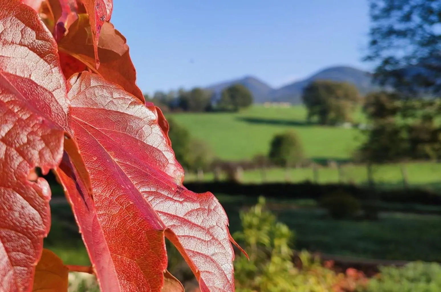 Mountain view in Terres de la Grange B&B