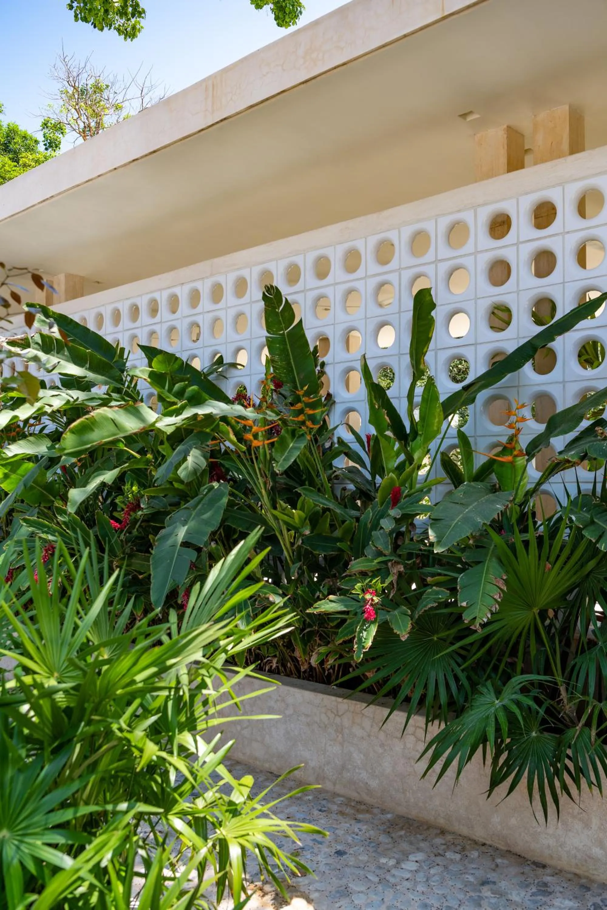 Area and facilities in Hotel Tiki Tiki Tulum