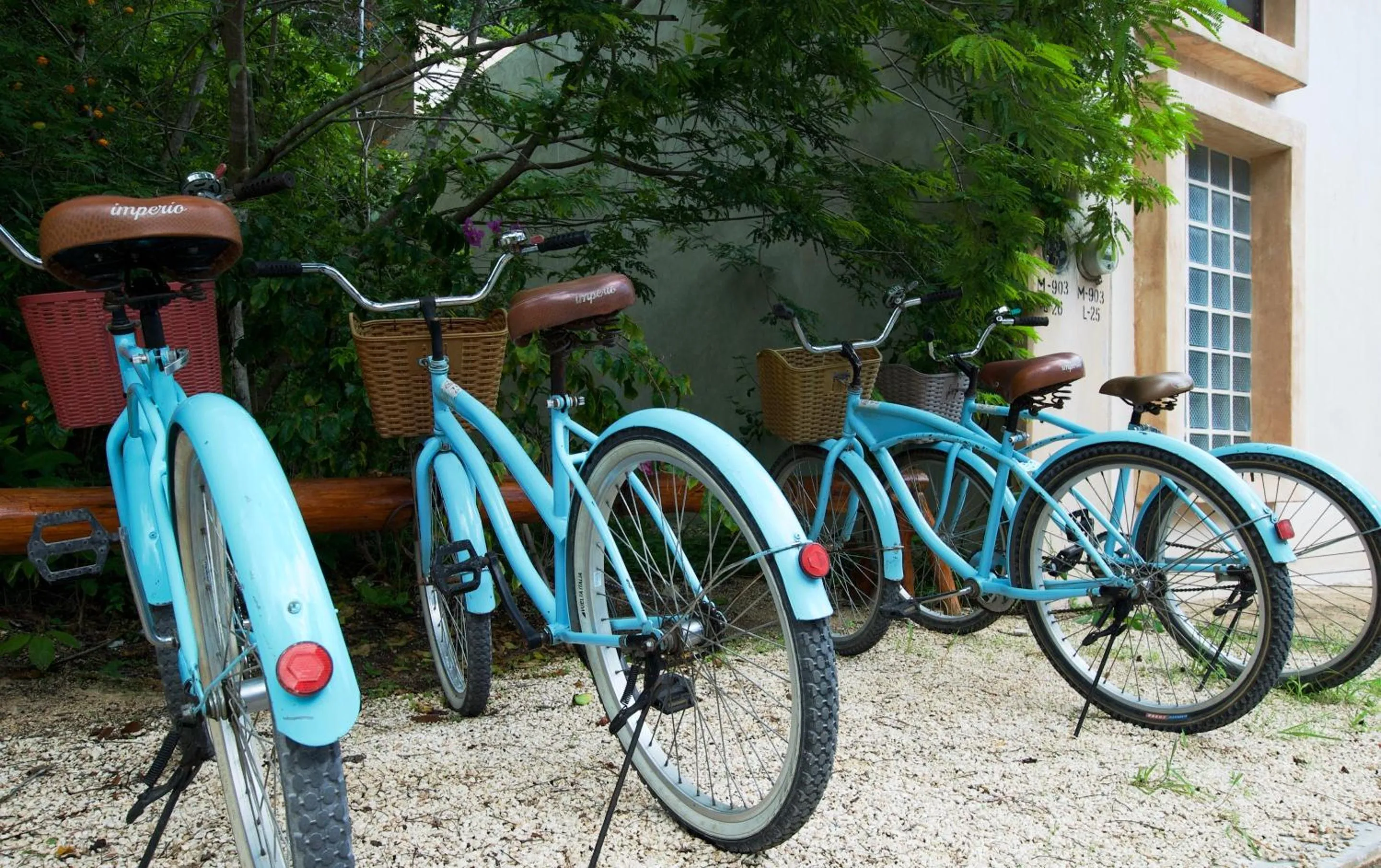 Entertainment in Hotel Tiki Tiki Tulum