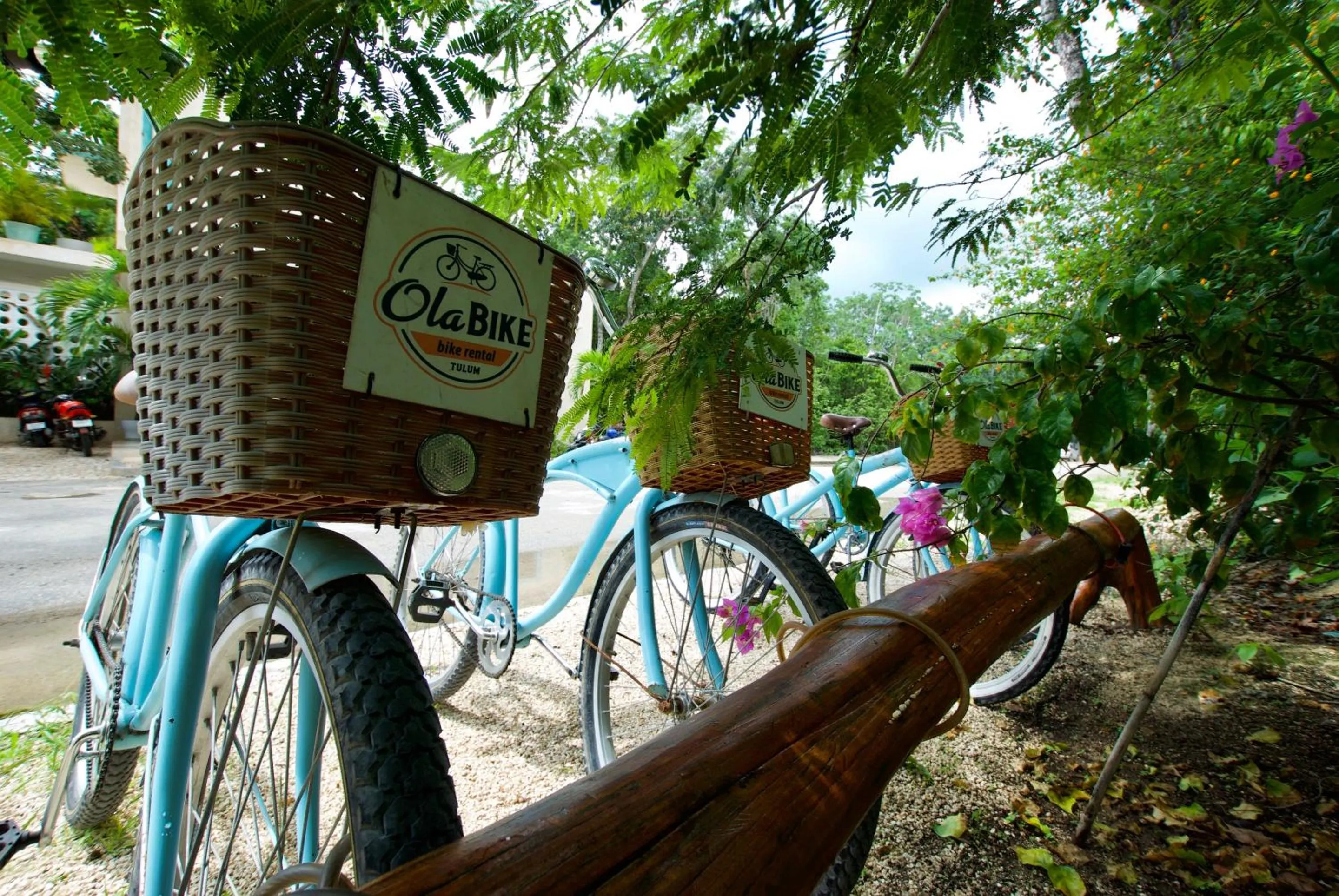Activities in Hotel Tiki Tiki Tulum