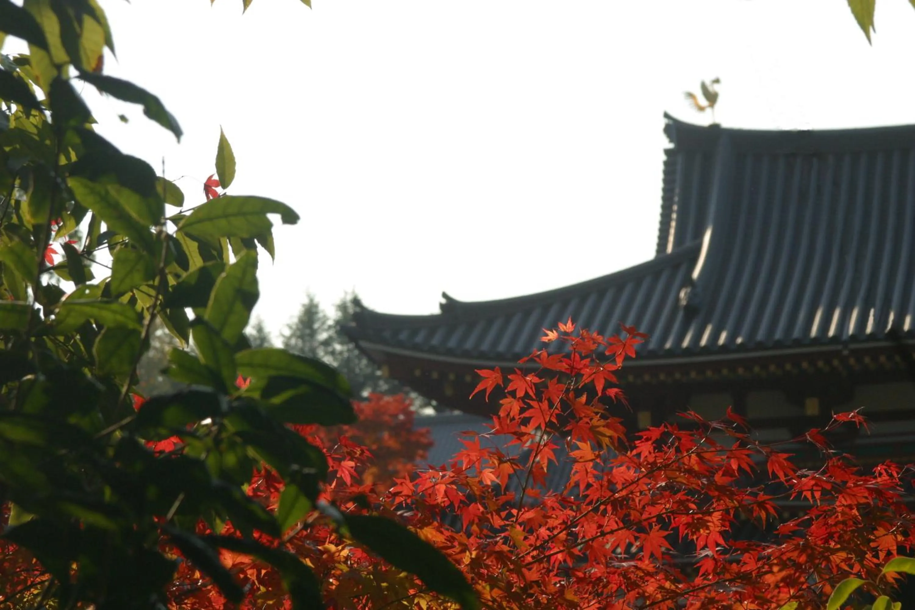 Off site in Travellersdou Kirinya