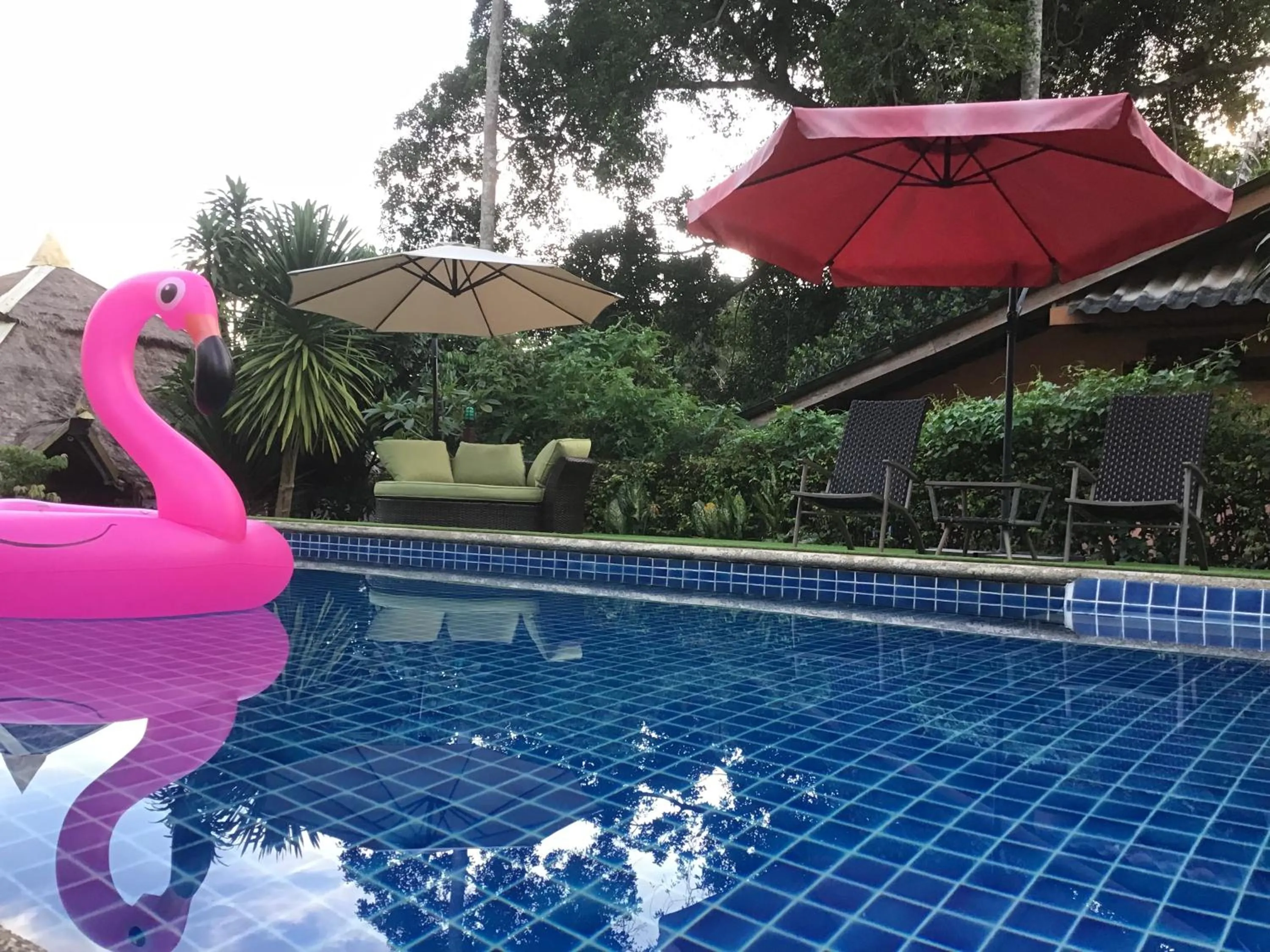 Swimming pool in Grand Tree