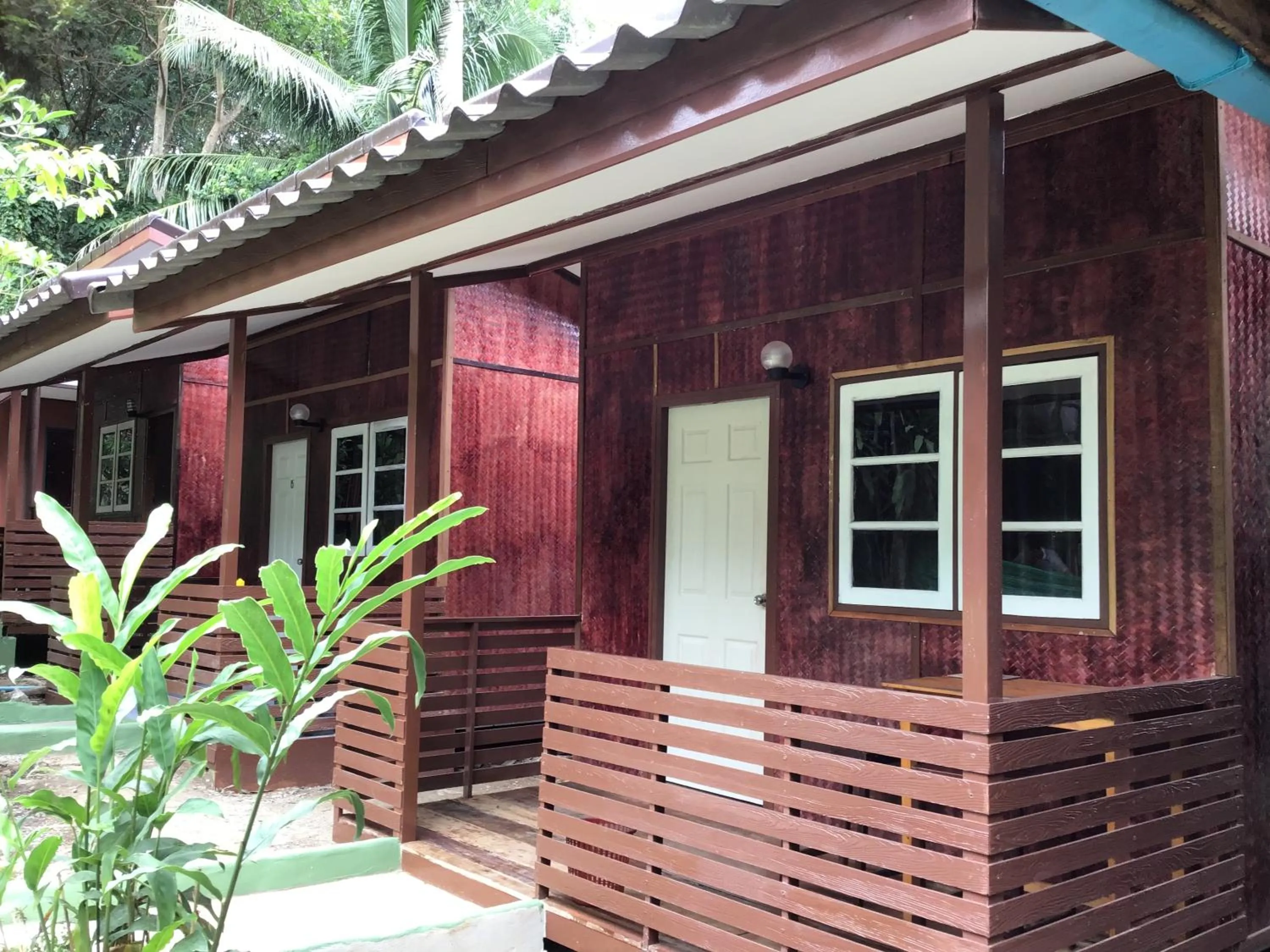 Photo of the whole room in Grand Tree