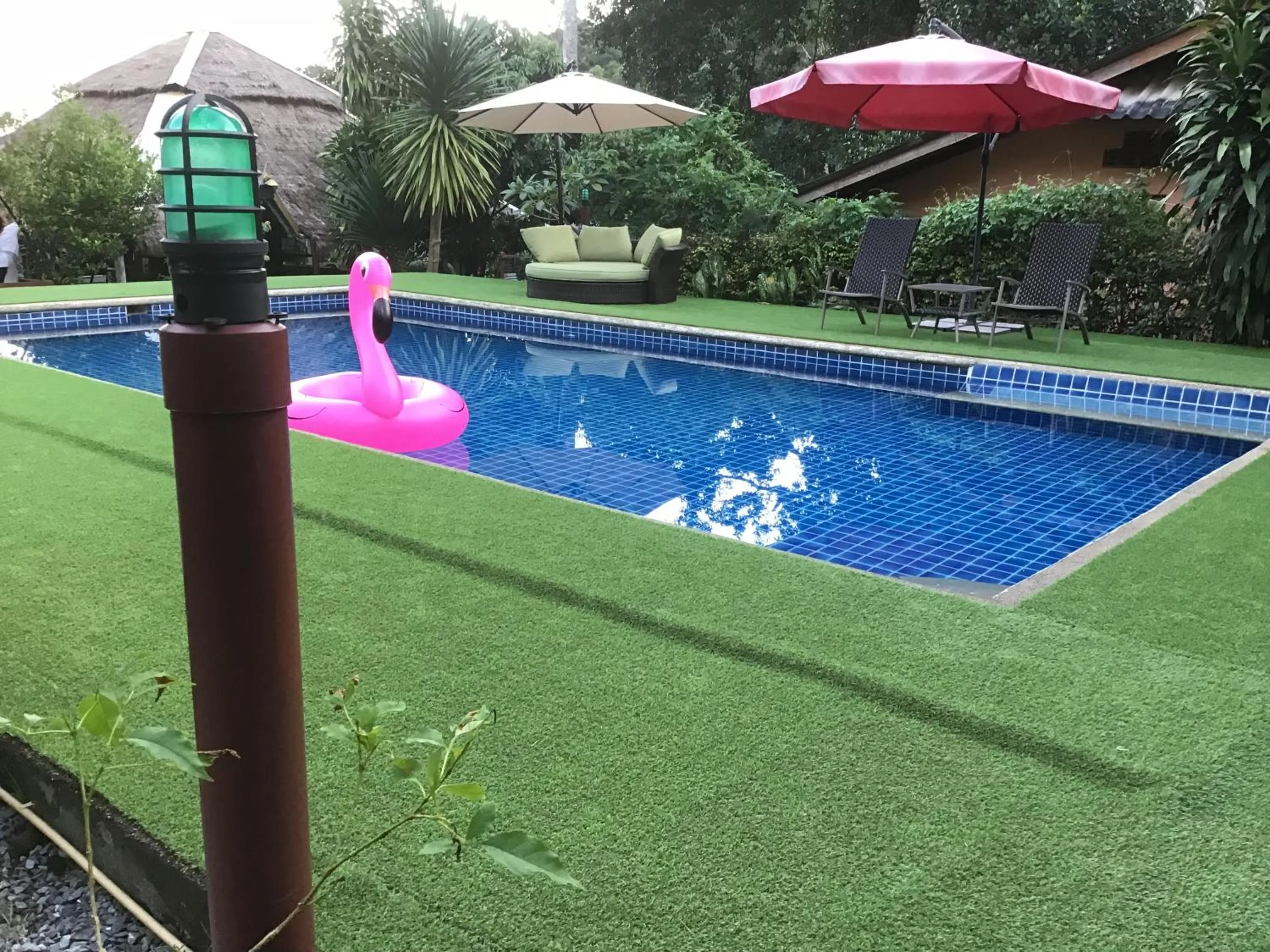 Pool view in Grand Tree