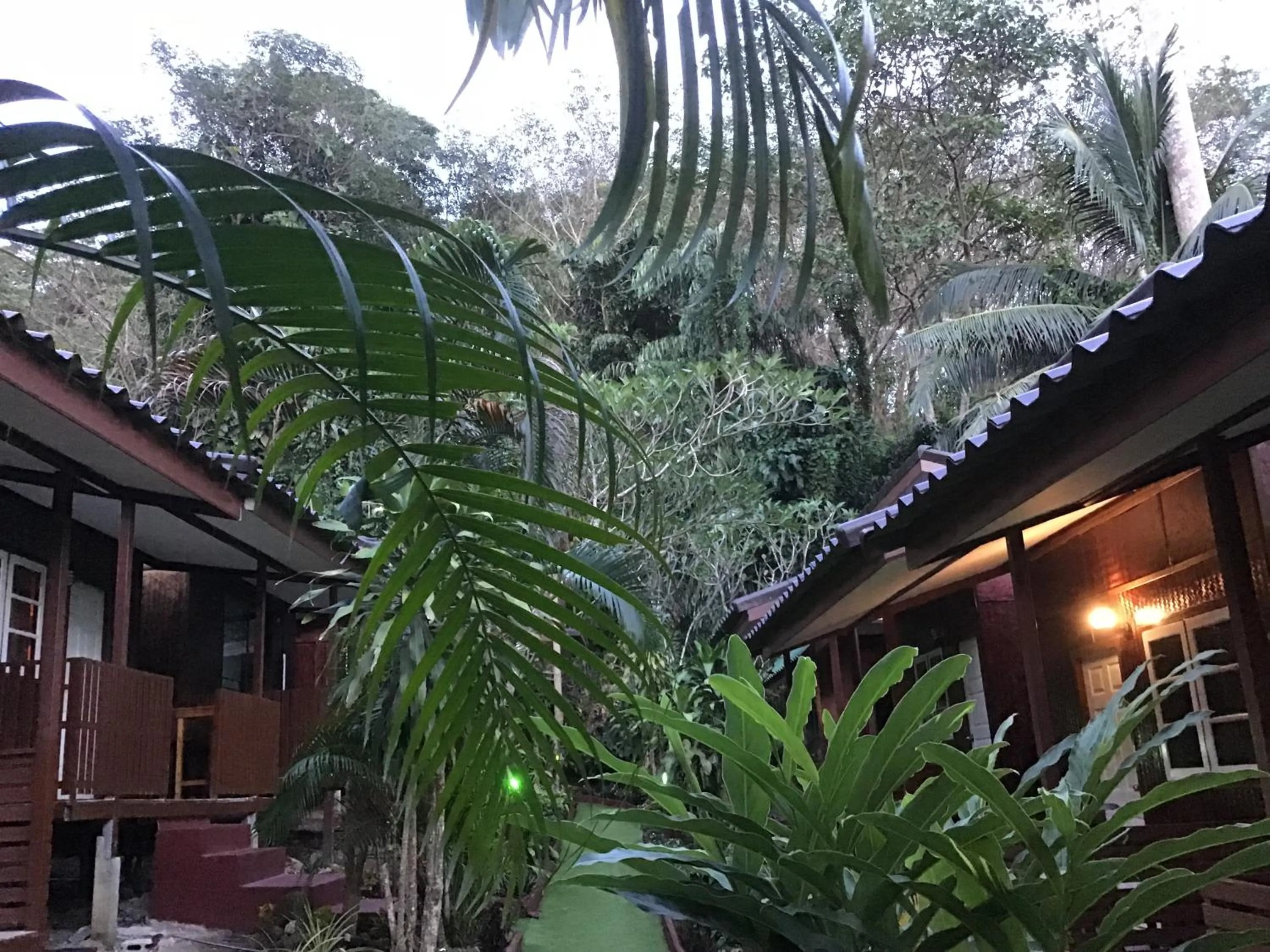 Garden view in Grand Tree