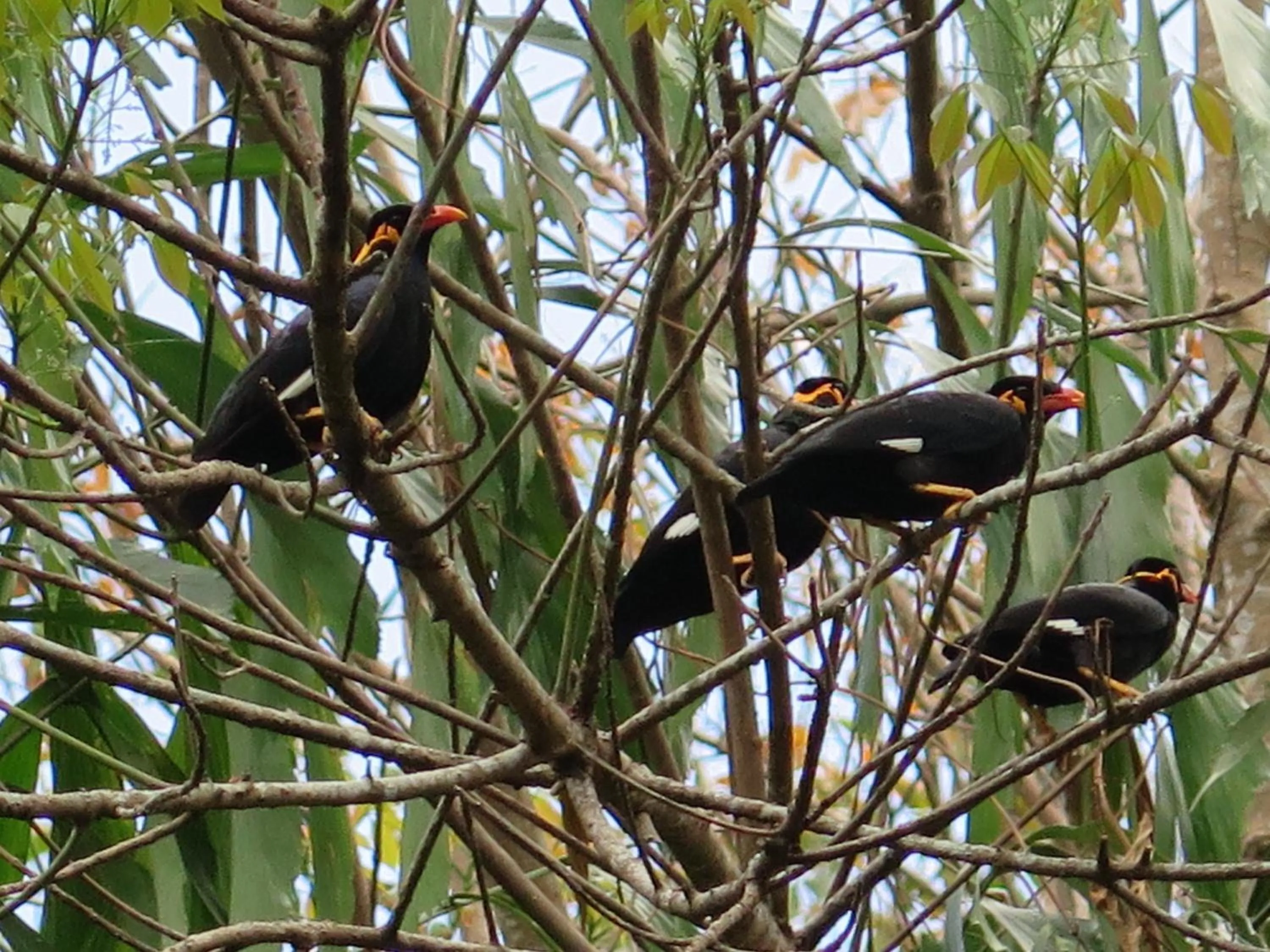 On site in Grand Tree