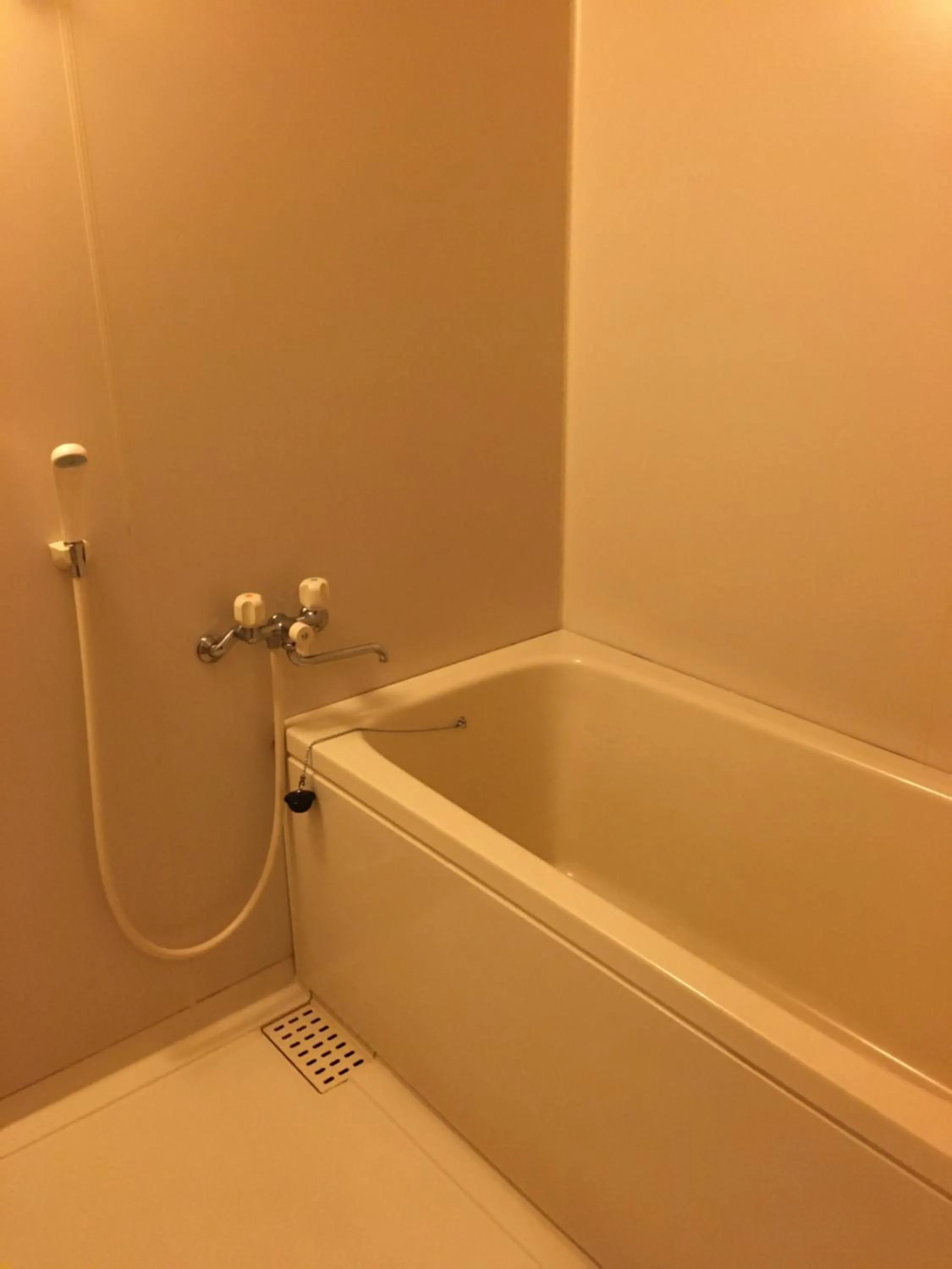 Bathroom in Yunogo Onsen HOTEL YUNOMORI BISYUNKAKU