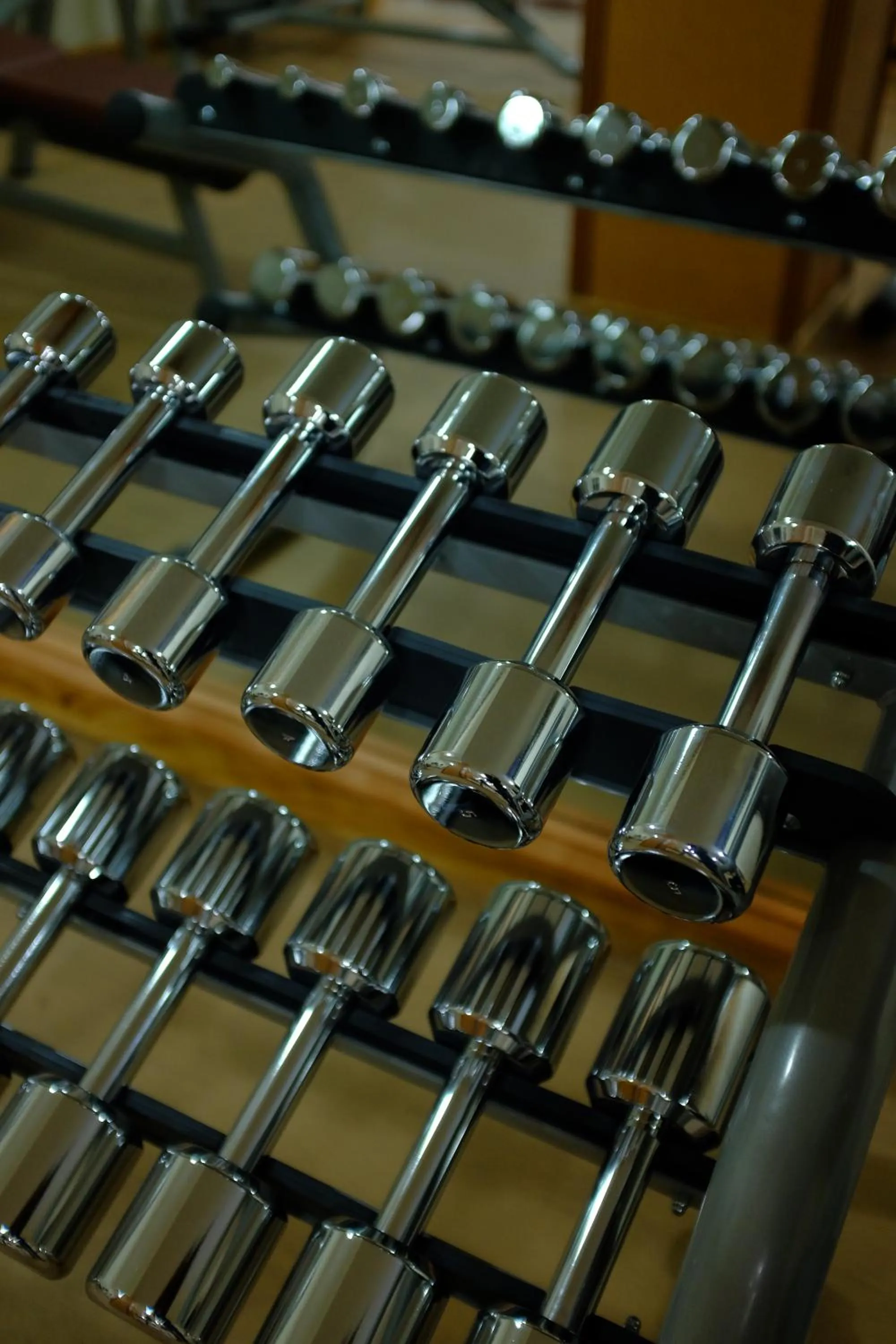 Fitness centre/facilities in Abyssinia Renaissance Hotel