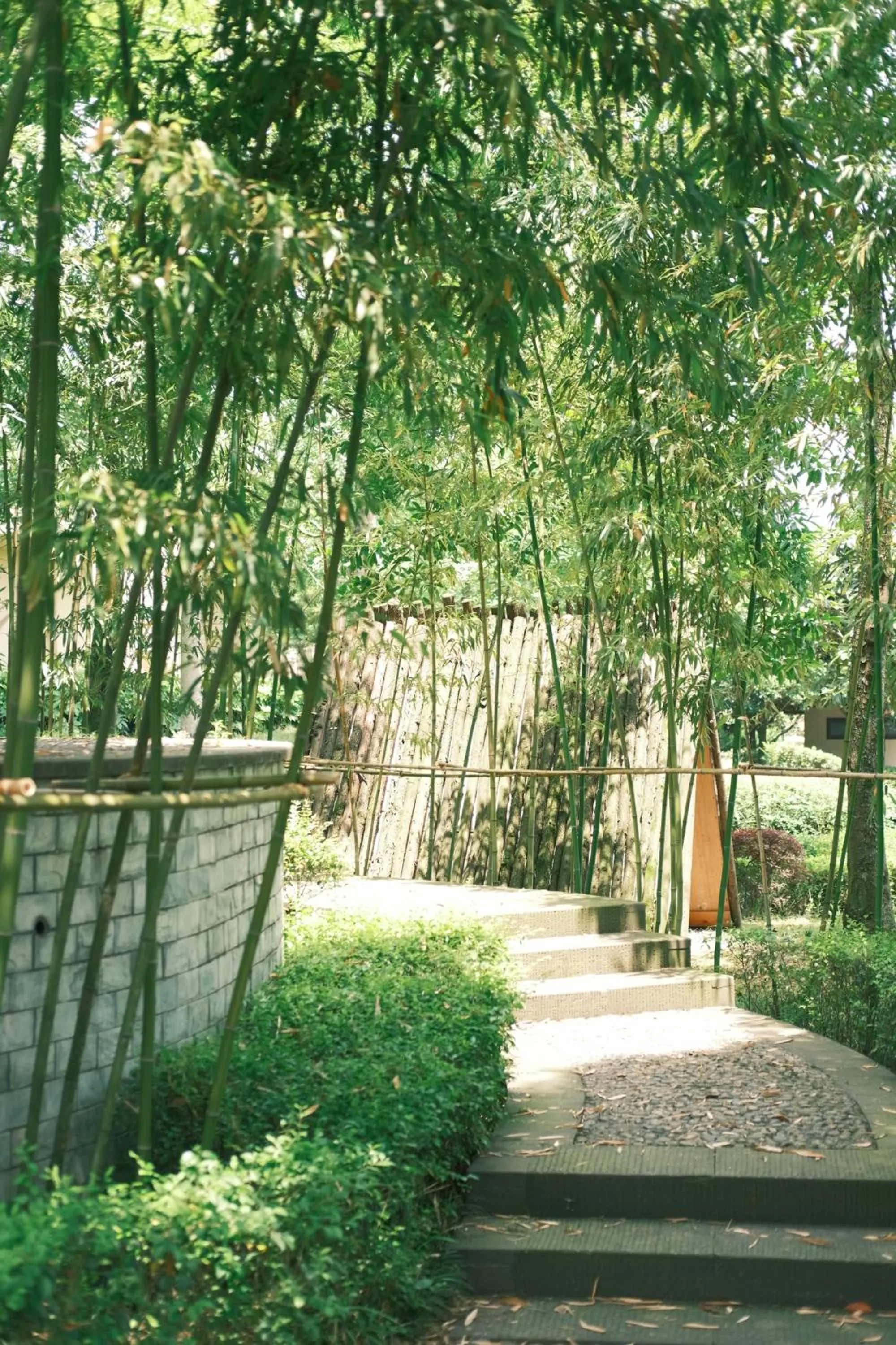 Natural landscape in Six Senses Qing Cheng Mountain