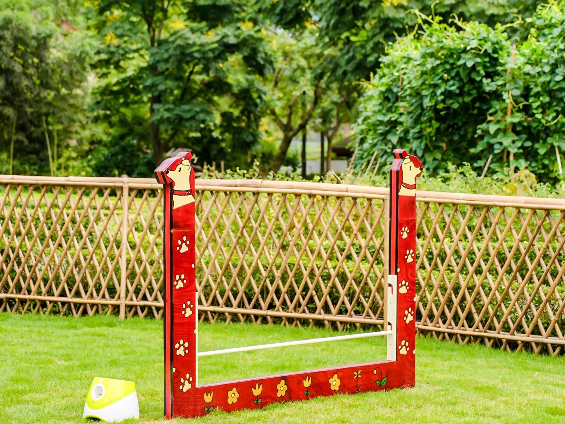 Animals in Six Senses Qing Cheng Mountain