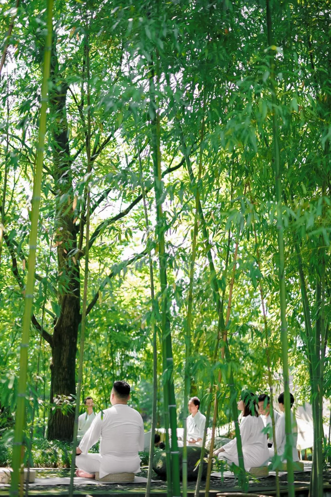 Activities in Six Senses Qing Cheng Mountain