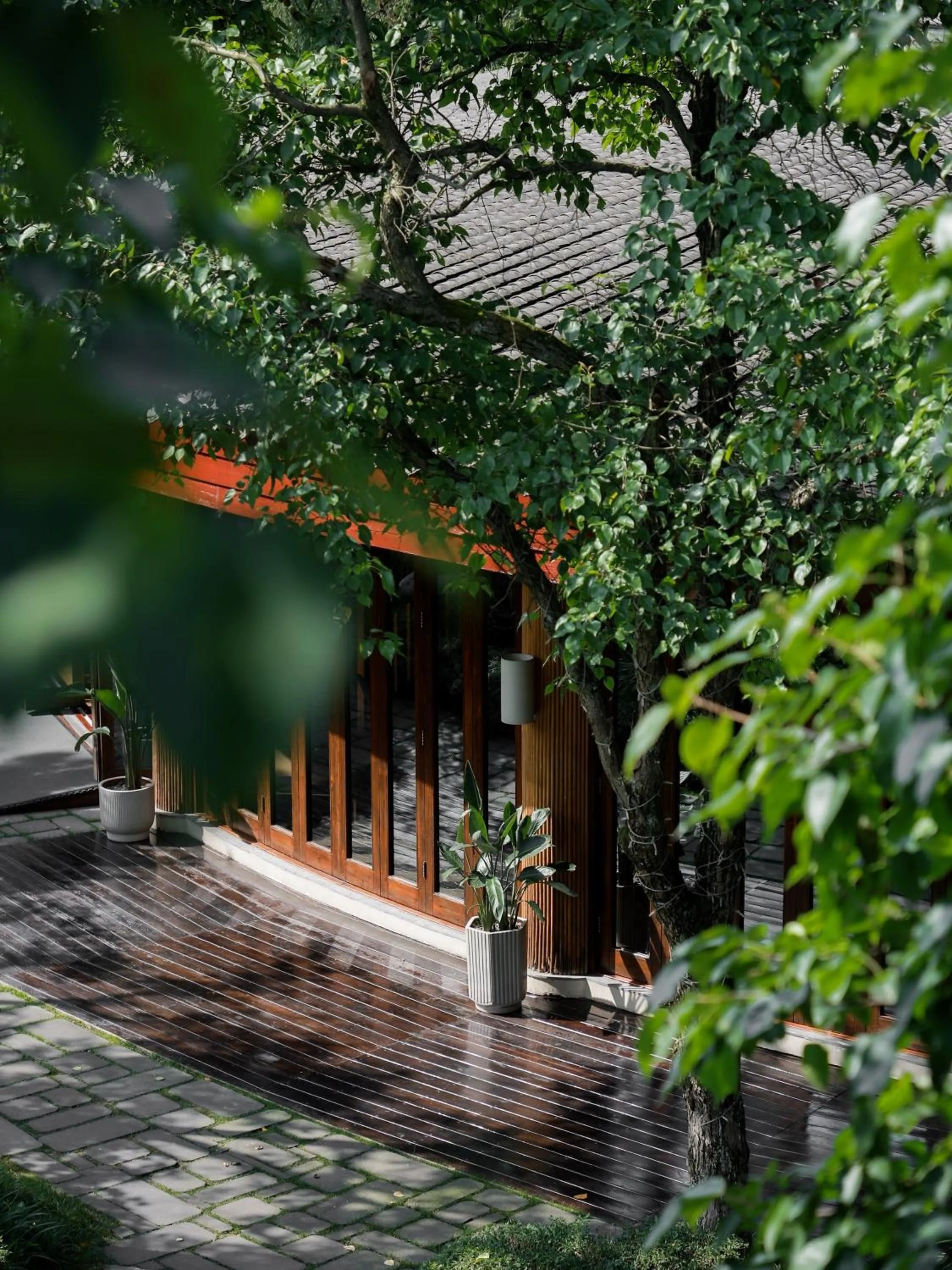 Six Senses Qing Cheng Mountain