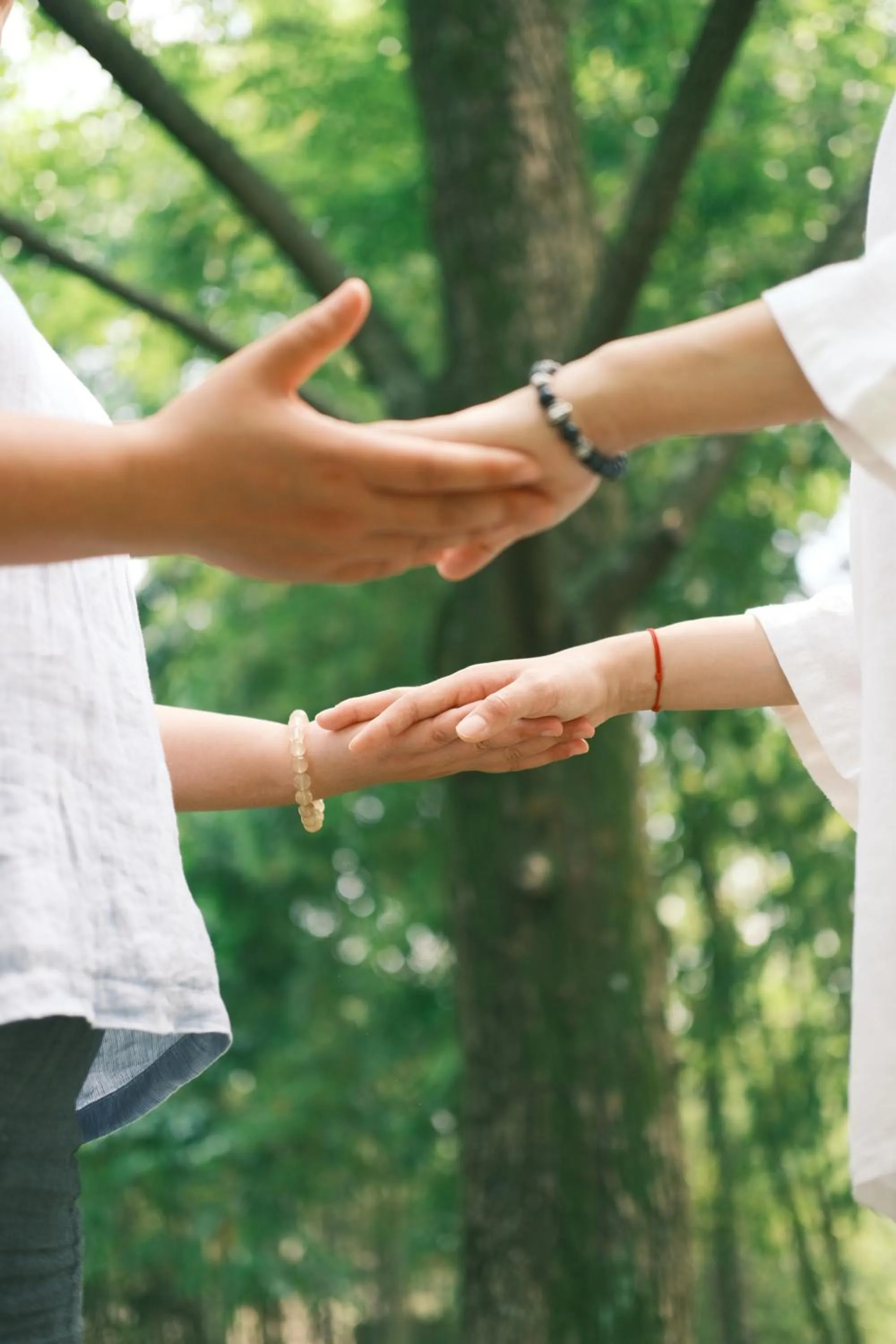 Activities in Six Senses Qing Cheng Mountain