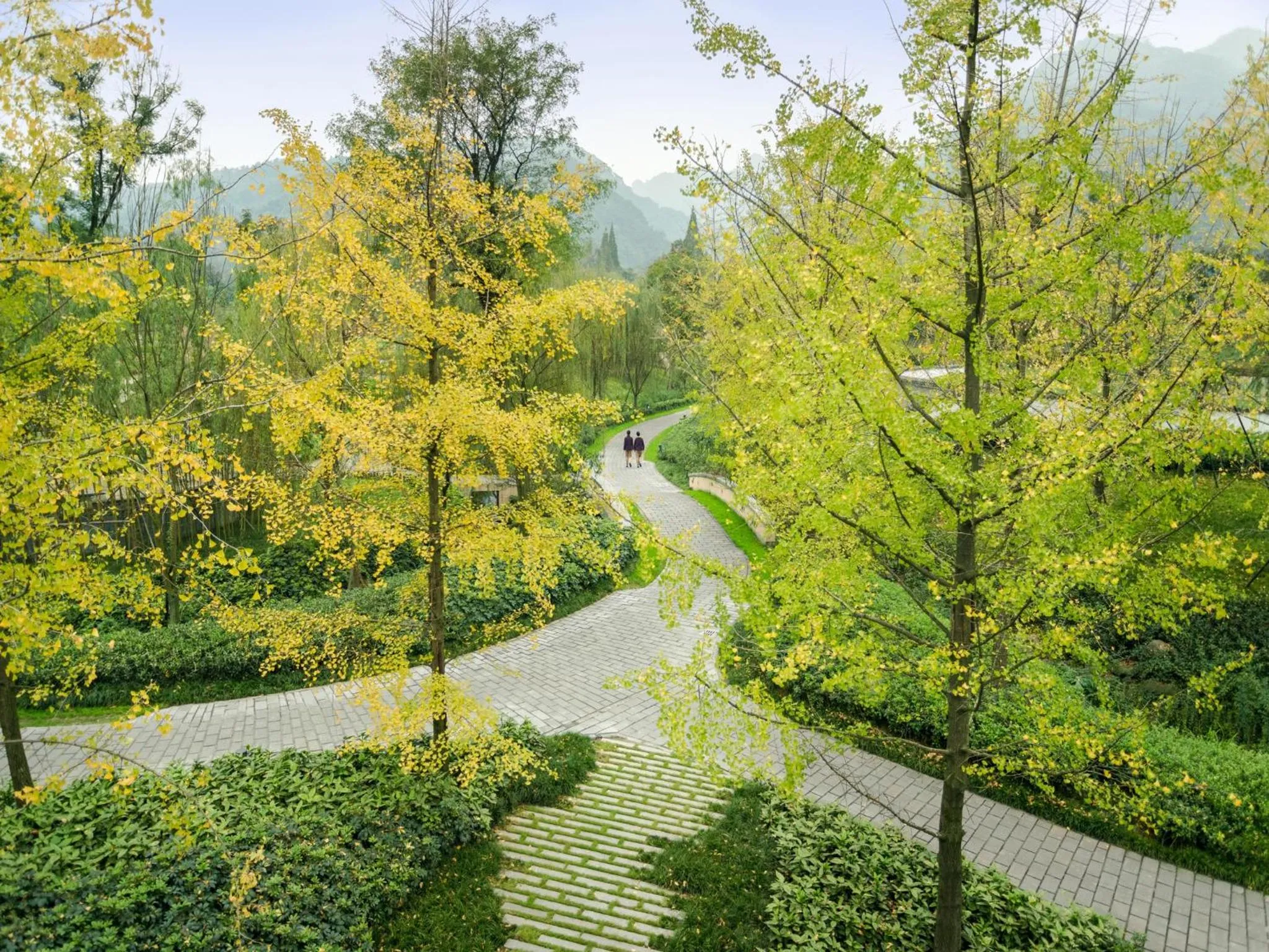 Other in Six Senses Qing Cheng Mountain