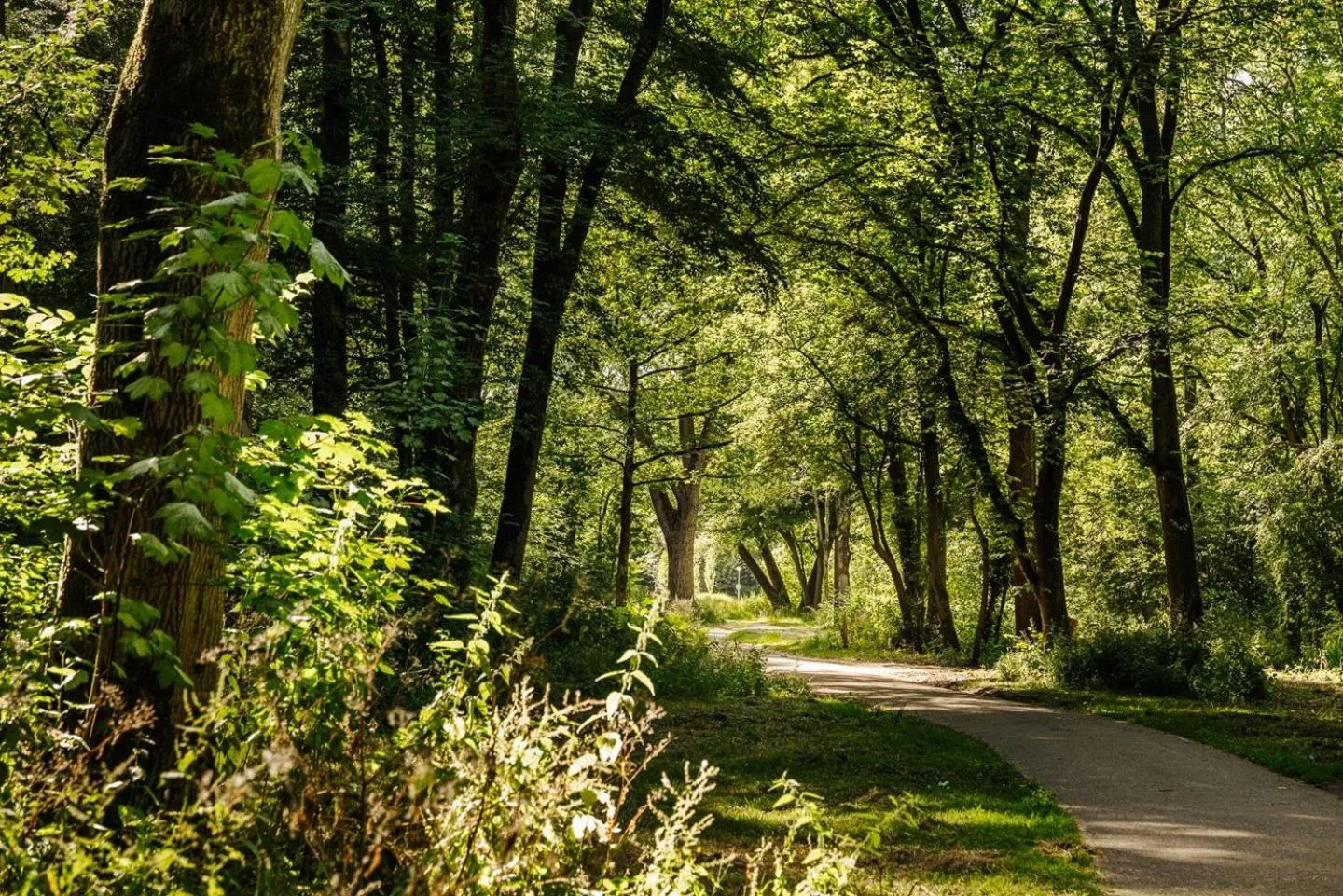 The Quay Amsterdam - FREE PARKING