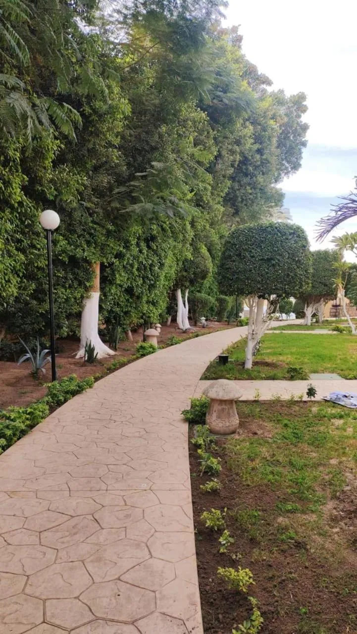 Day in Steigenberger Resort Achti