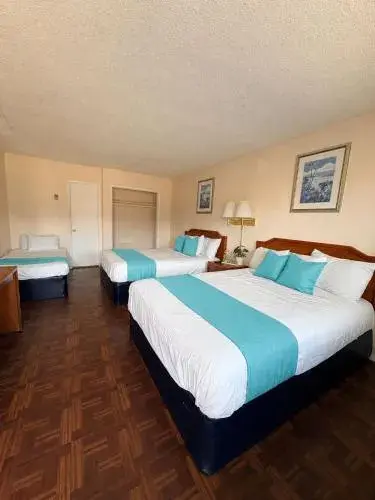Family Room in Mission Bay Motel Family Room in Mission Bay Motel
